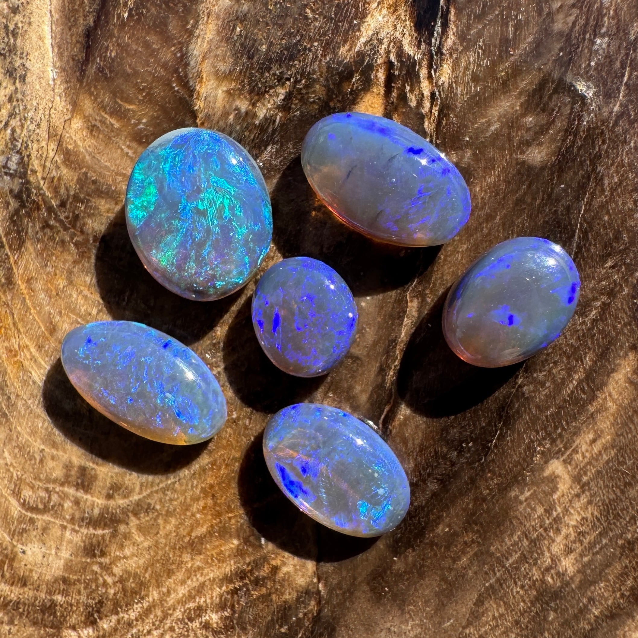 3.1ct Lightning Ridge Opal Parcel | Solid Australian Opal | Hand-Cut