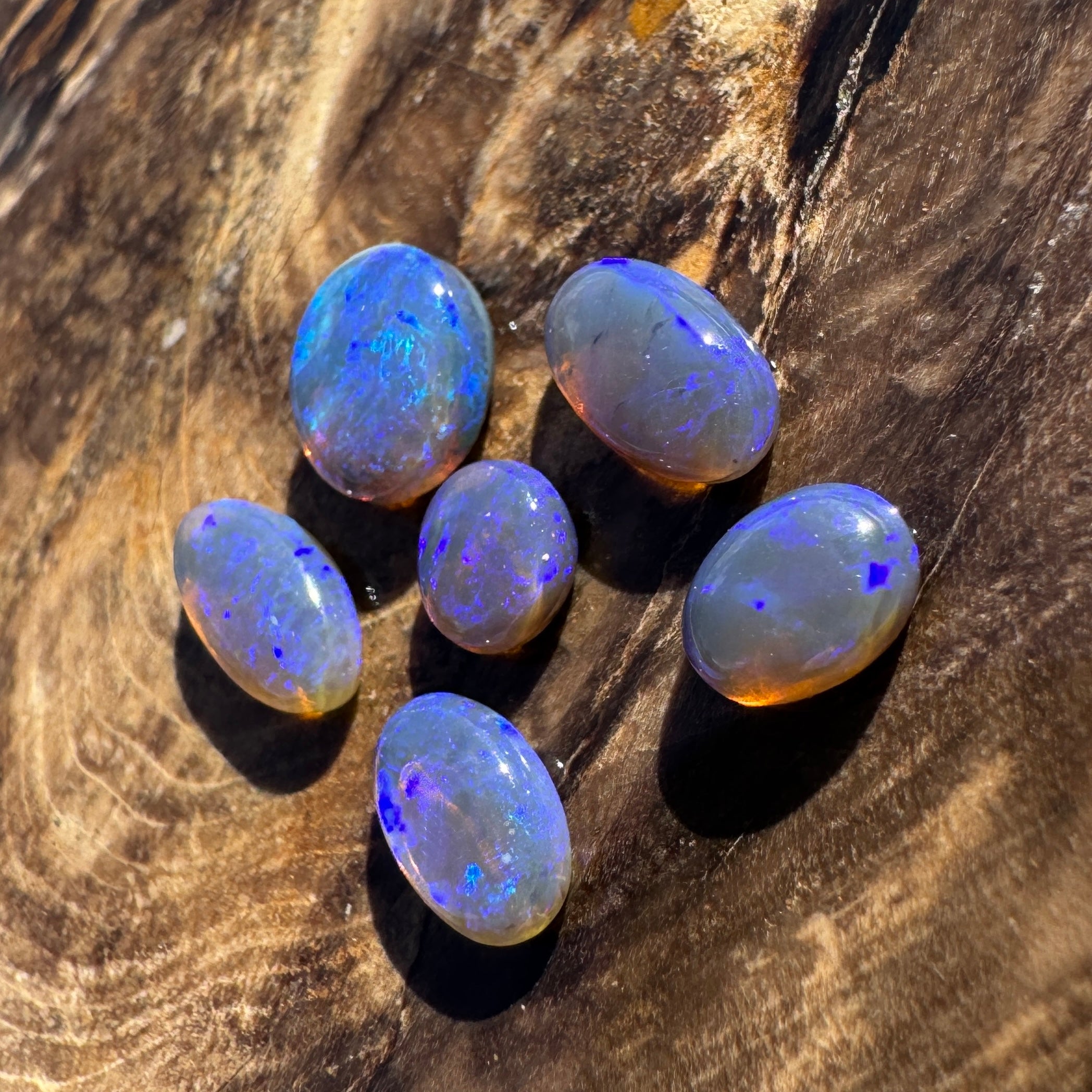 3.1ct Lightning Ridge Opal Parcel | Solid Australian Opal | Hand-Cut