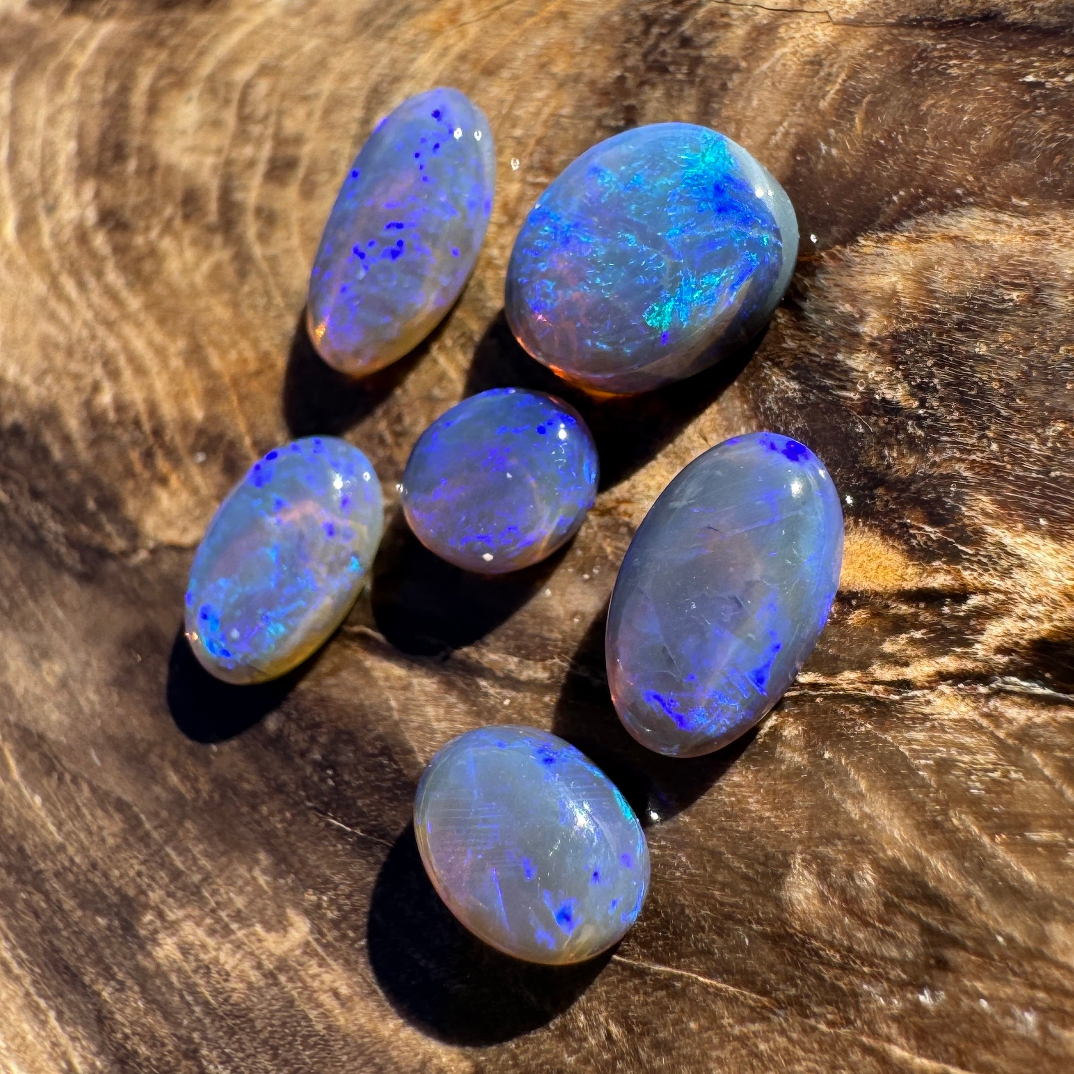 3.1ct Lightning Ridge Opal Parcel | Solid Australian Opal | Hand-Cut