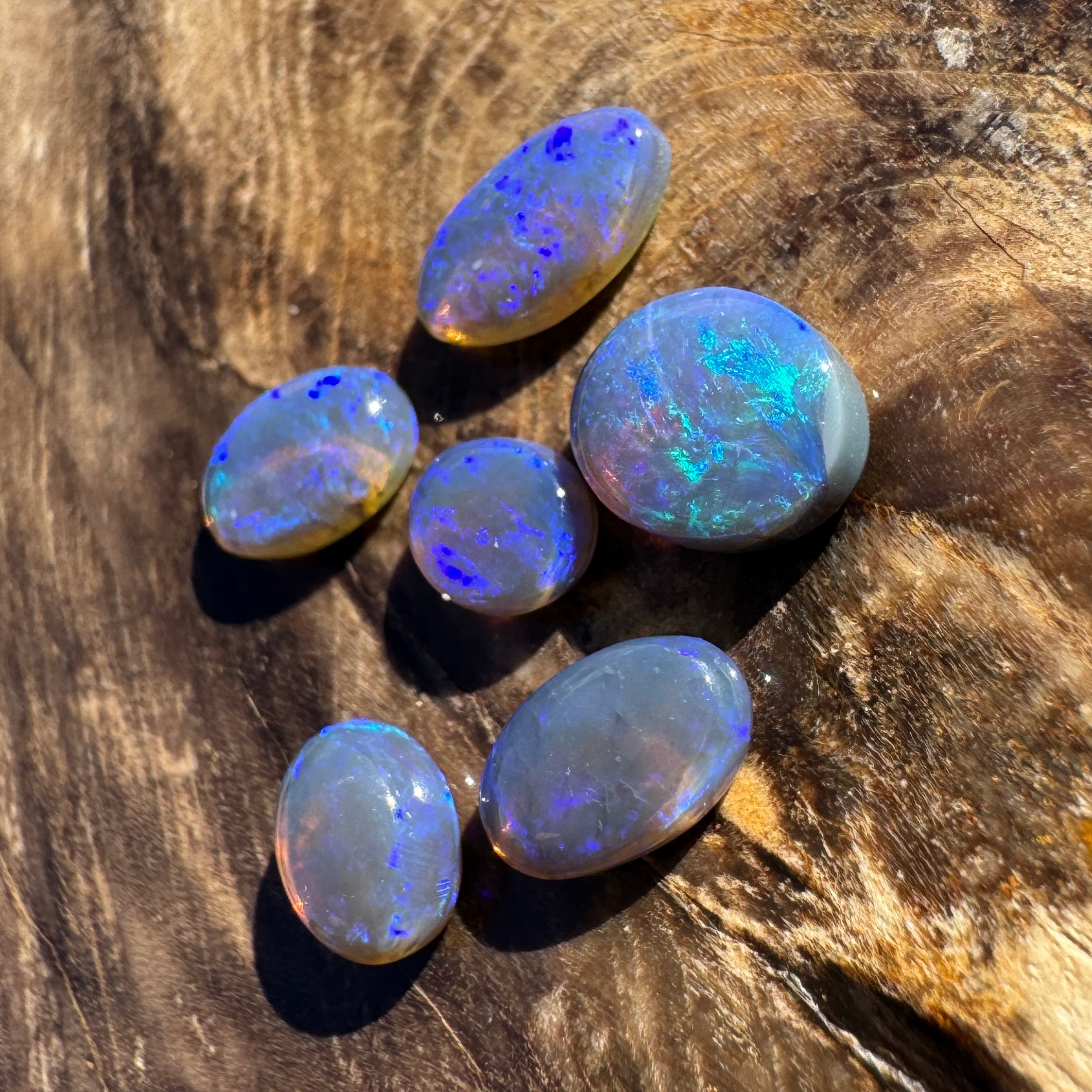 3.1ct Lightning Ridge Opal Parcel | Solid Australian Opal | Hand-Cut