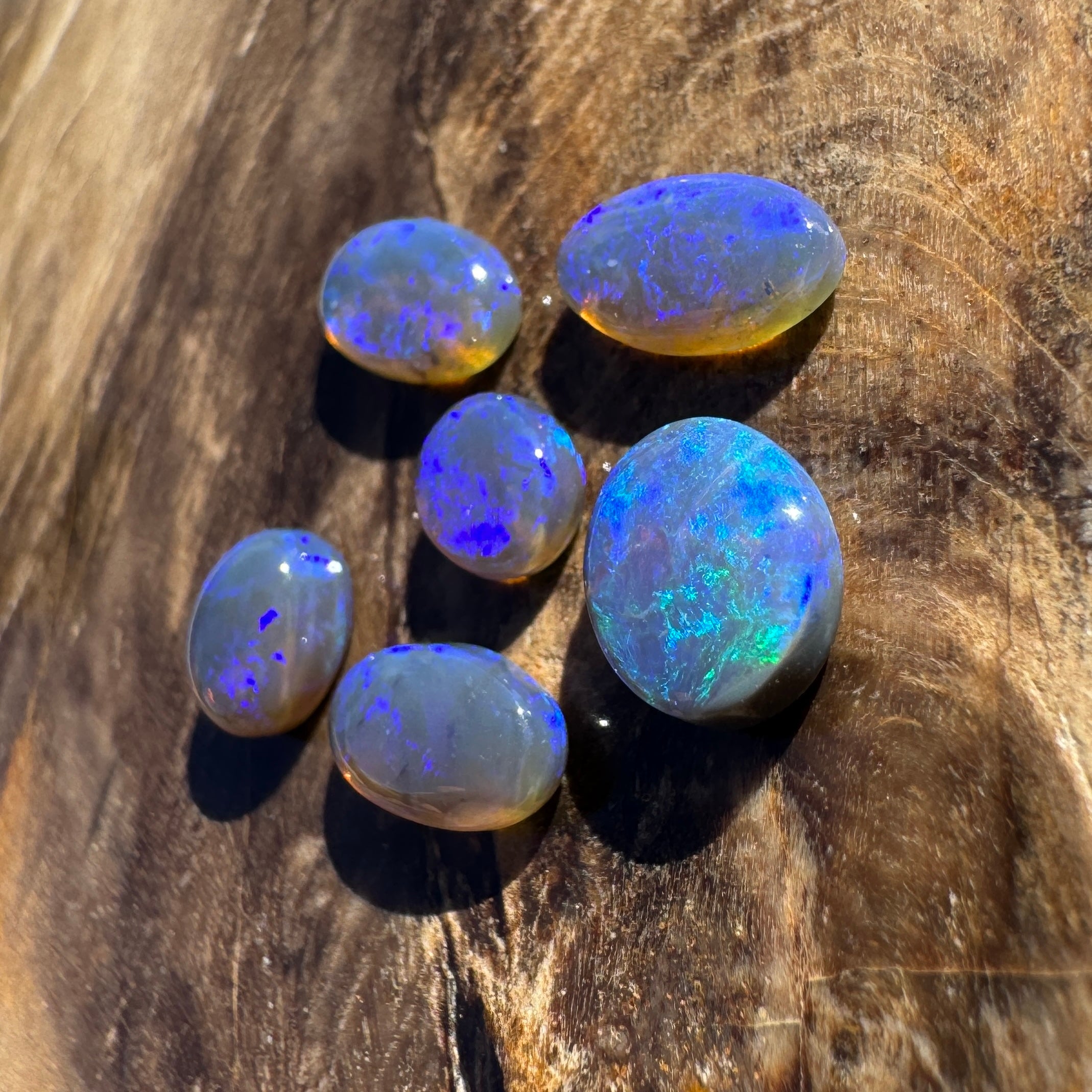 3.1ct Lightning Ridge Opal Parcel | Solid Australian Opal | Hand-Cut