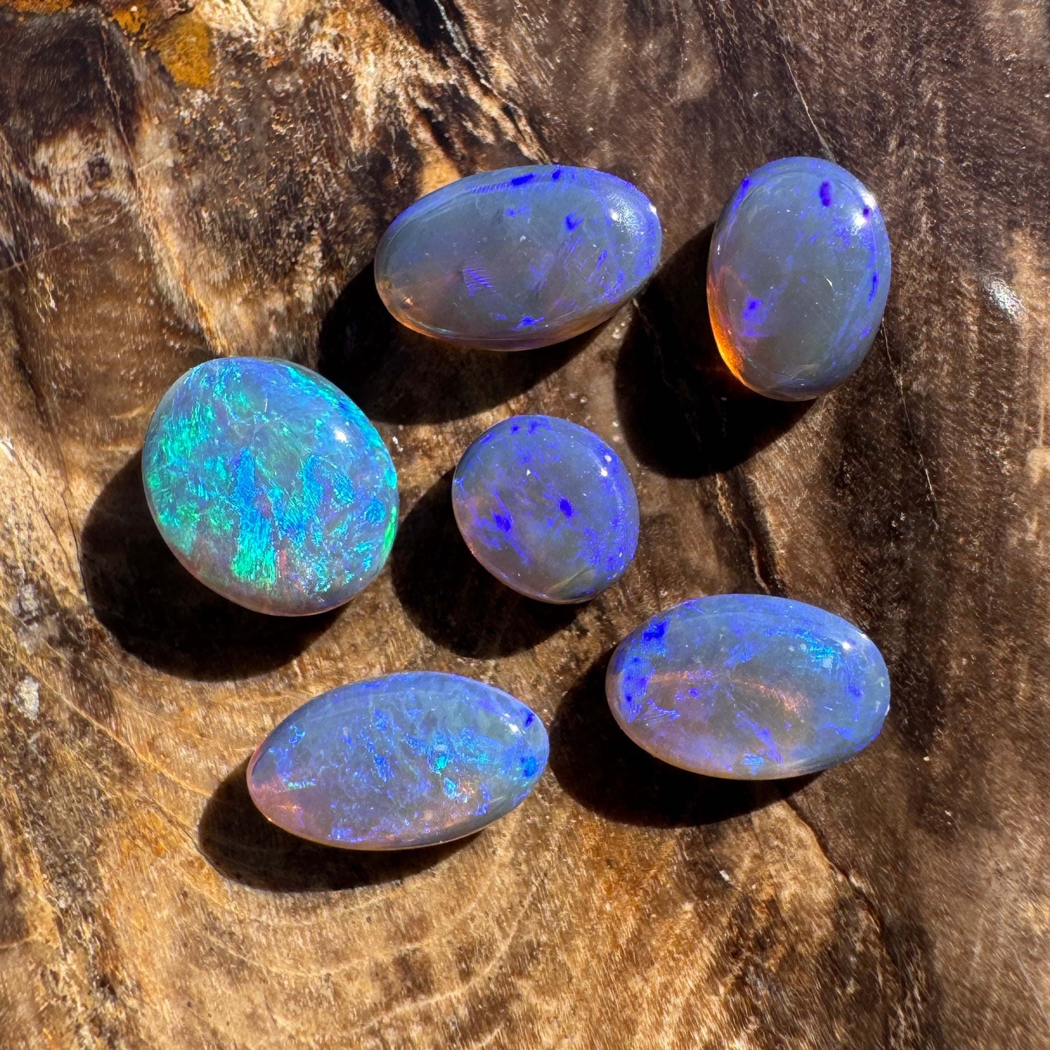 3.1ct Lightning Ridge Opal Parcel | Solid Australian Opal | Hand-Cut
