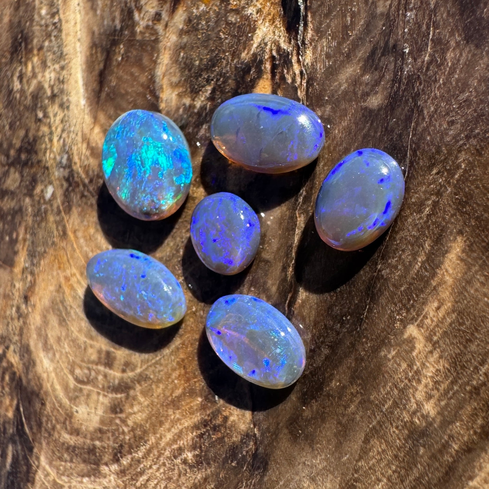 3.1ct Lightning Ridge Opal Parcel | Solid Australian Opal | Hand-Cut