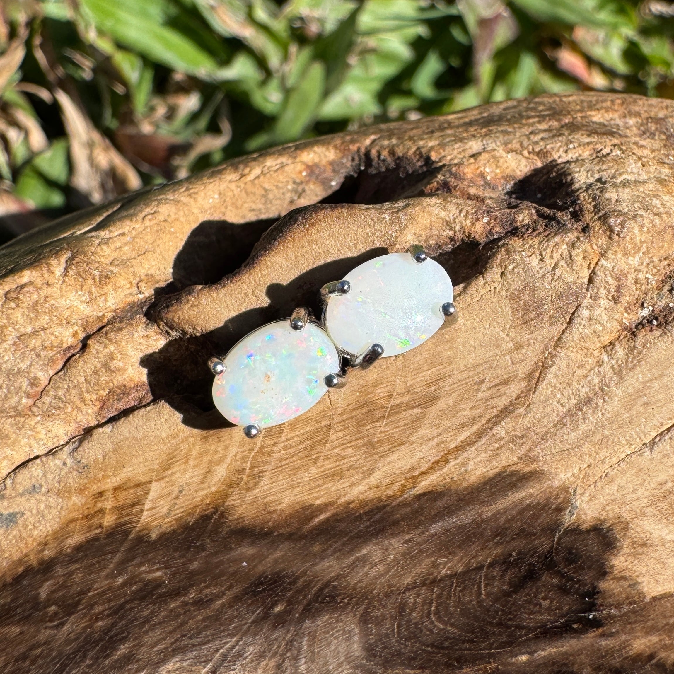 0.7ct Coober Pedy Opal Earrings ~ 'Mitchell Falls Amber' | 925 Sterling Silver | Solid Australian Opal
