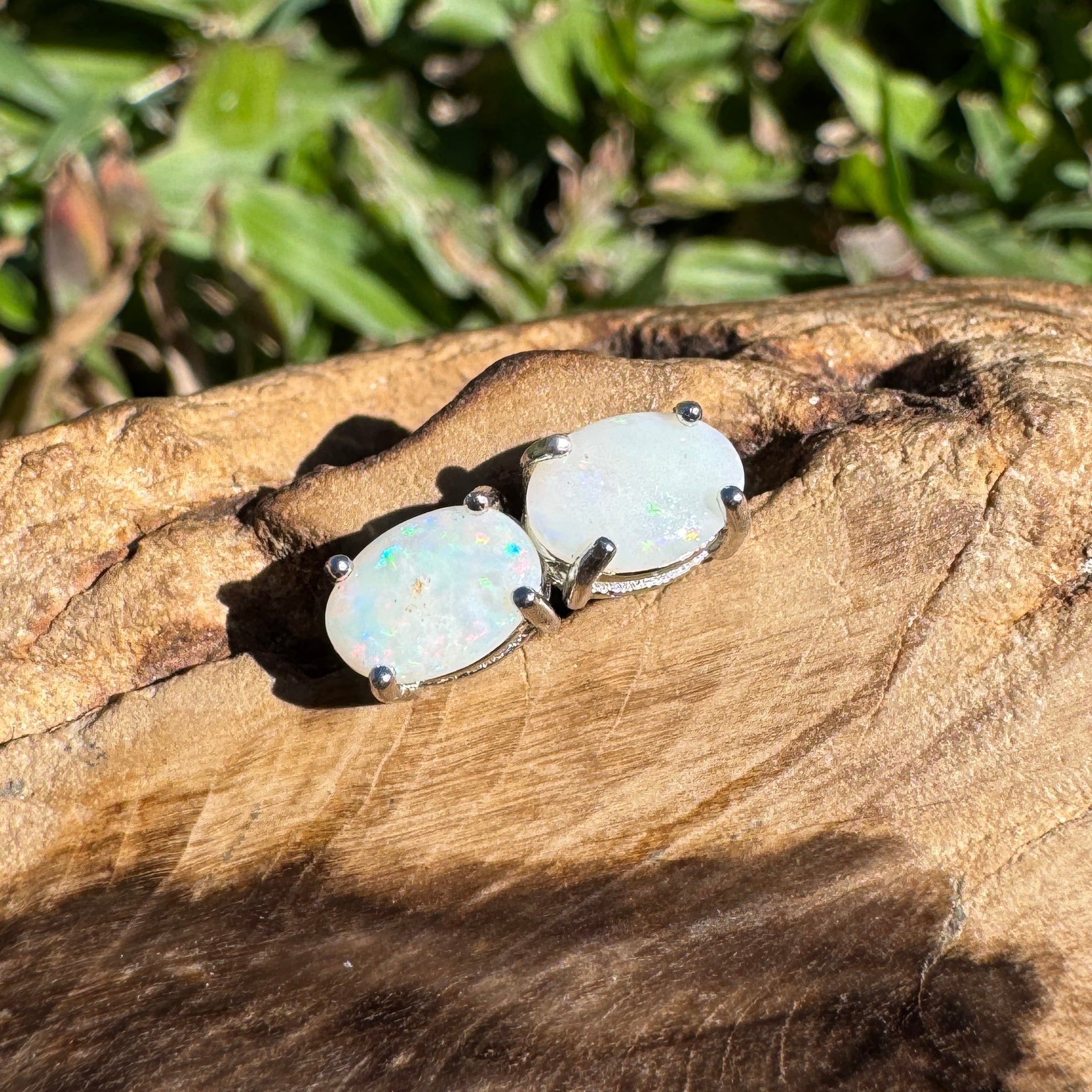 0.7ct Coober Pedy Opal Earrings ~ 'Mitchell Falls Amber' | 925 Sterling Silver | Solid Australian Opal