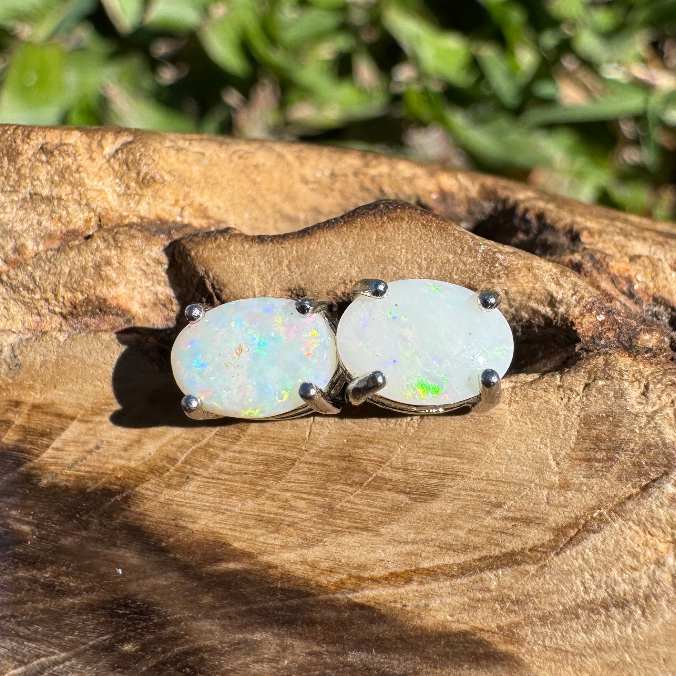 0.7ct Coober Pedy Opal Earrings ~ 'Mitchell Falls Amber' | 925 Sterling Silver | Solid Australian Opal