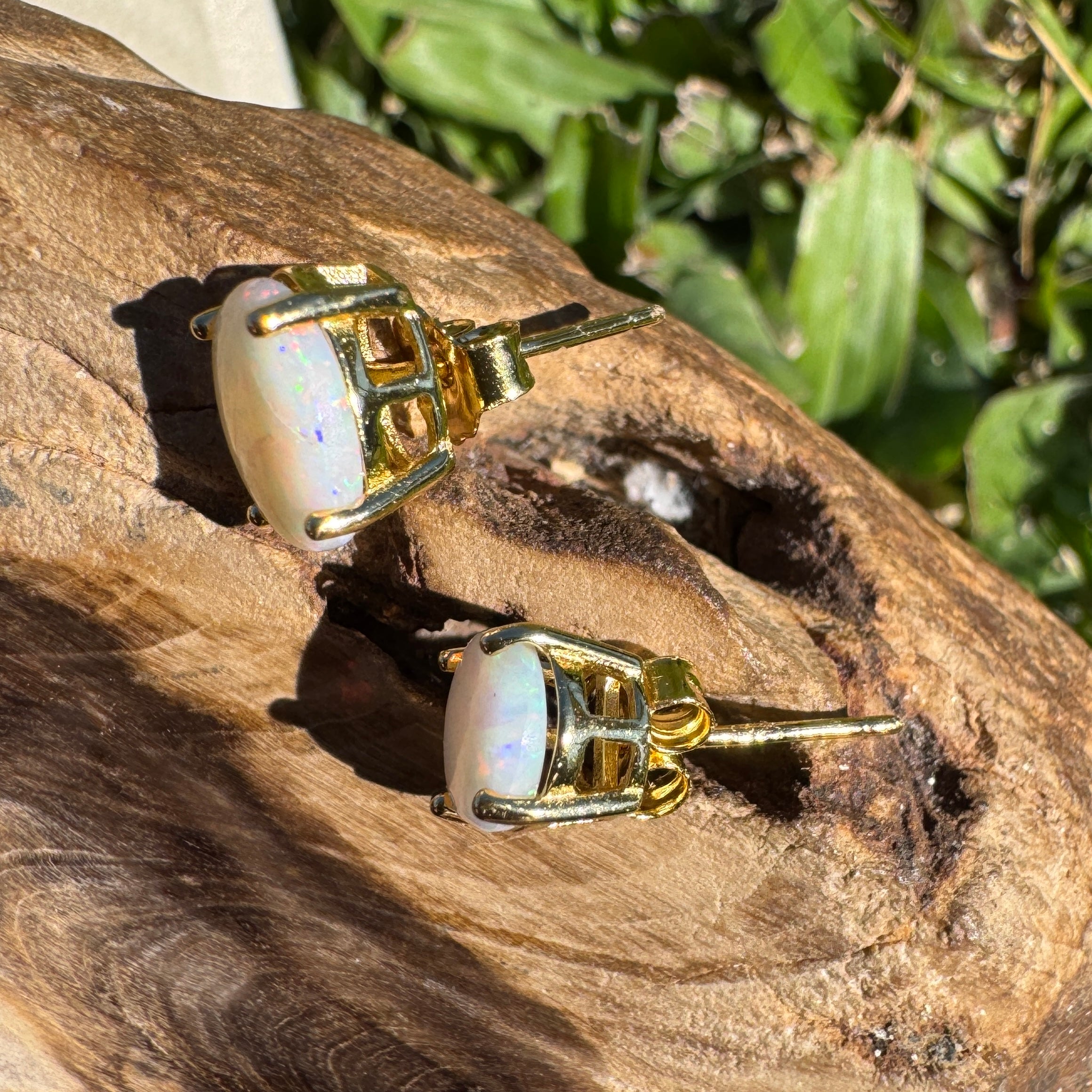 1.6ct Coober Pedy Opal Earrings ~ 'Burleigh Heads Rainbow' | Yellow Gold Coated 925 Sterling Silver | Solid Australian Opal