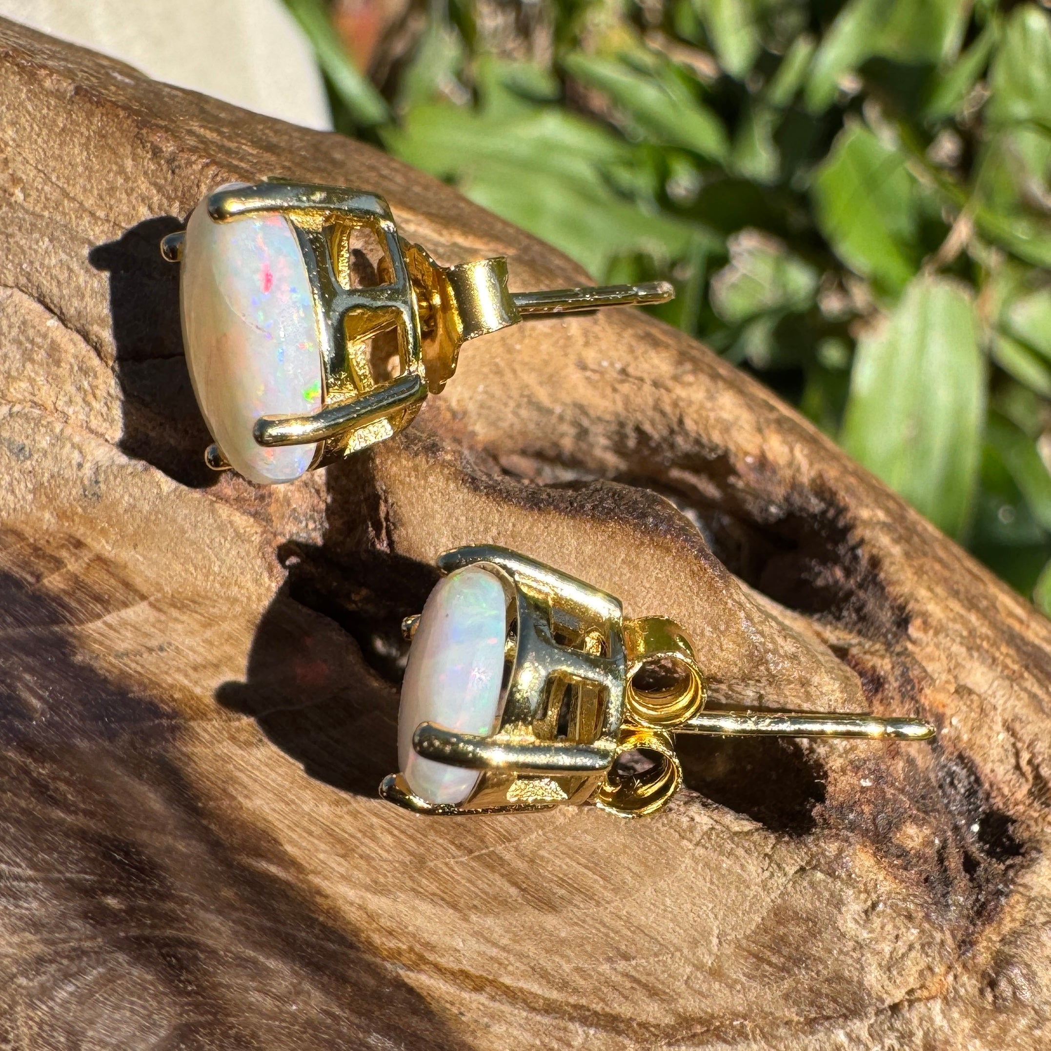 1.6ct Coober Pedy Opal Earrings ~ 'Burleigh Heads Rainbow' | Yellow Gold Coated 925 Sterling Silver | Solid Australian Opal