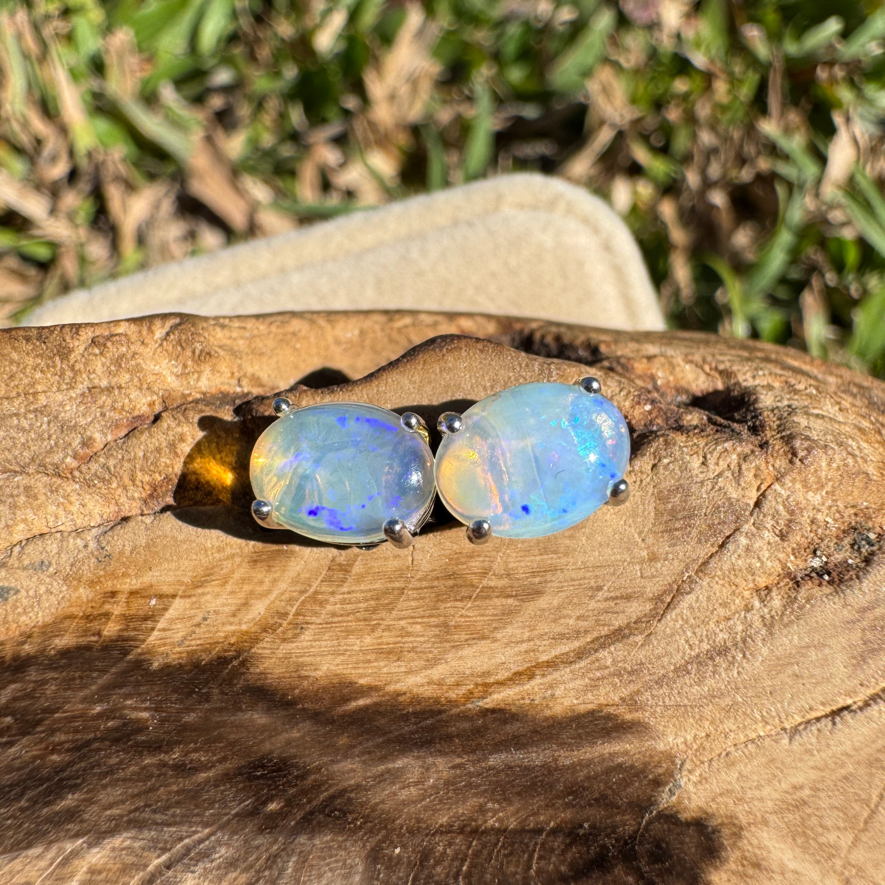 1ct Lightning Ridge Opal Earrings ~ 'Lord Howe Drops' | 925 Sterling Silver | Solid Australian Opal