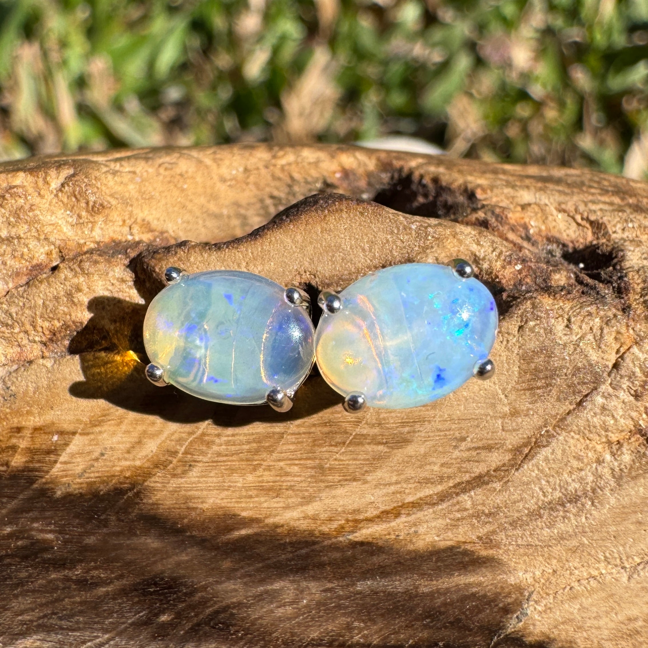1ct Lightning Ridge Opal Earrings ~ 'Lord Howe Drops' | 925 Sterling Silver | Solid Australian Opal