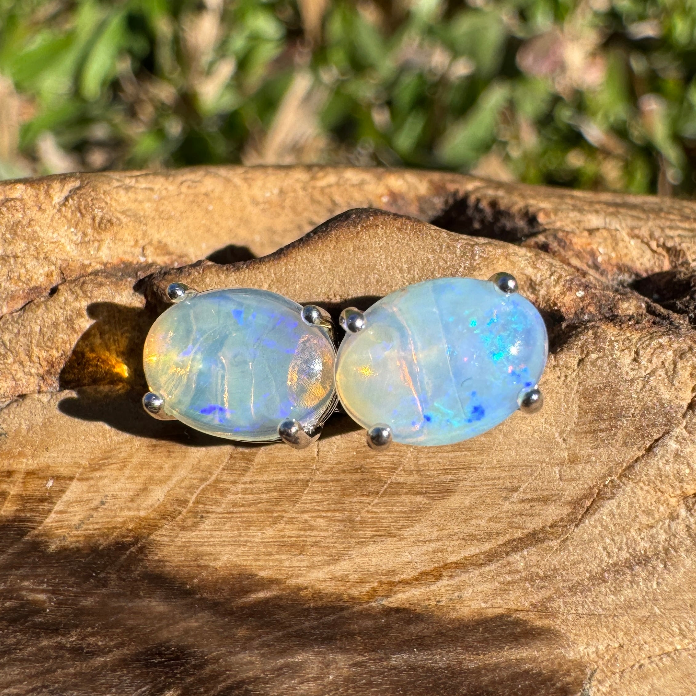 1ct Lightning Ridge Opal Earrings ~ 'Lord Howe Drops' | 925 Sterling Silver | Solid Australian Opal