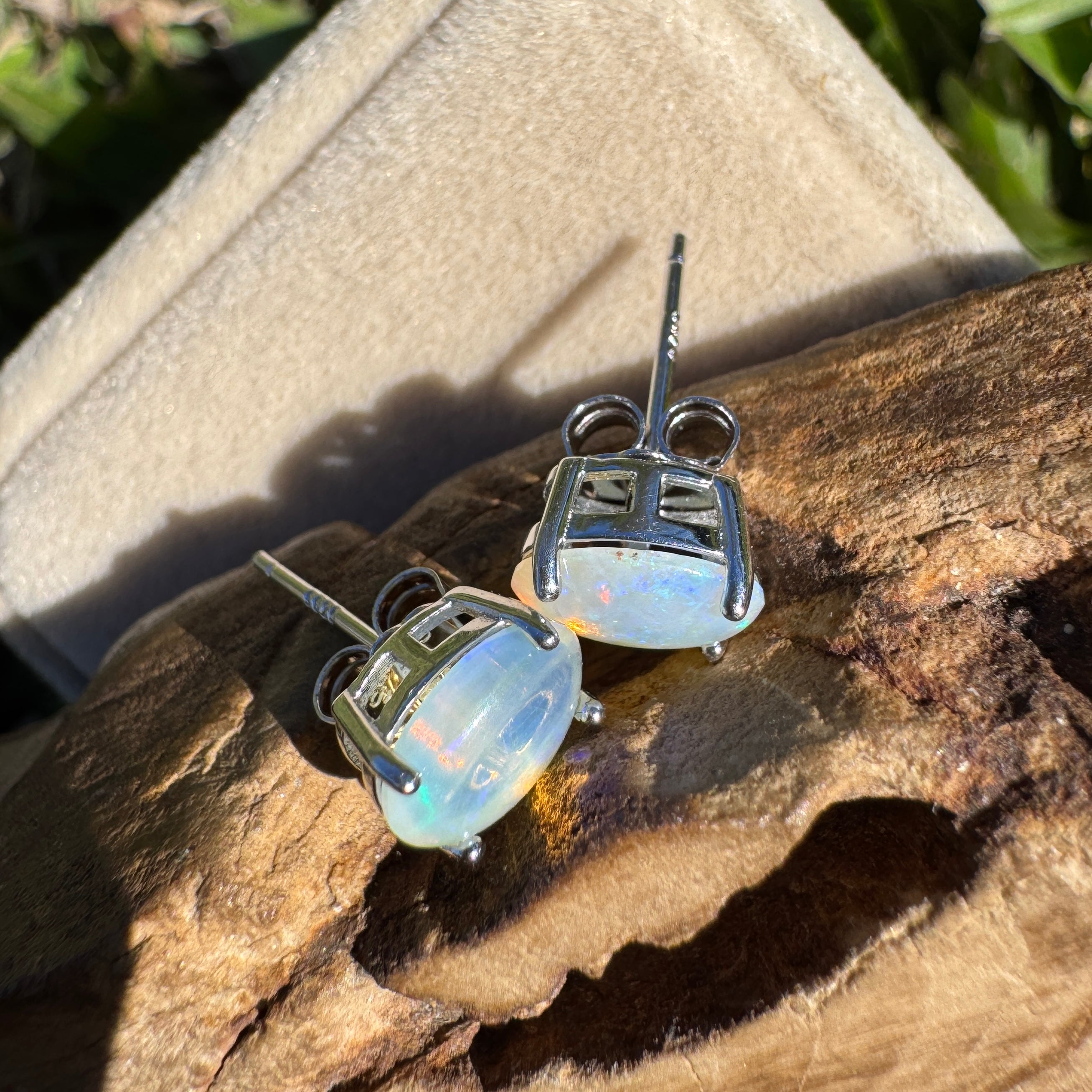 1ct Lightning Ridge Opal Earrings ~ 'Lord Howe Drops' | 925 Sterling Silver | Solid Australian Opal