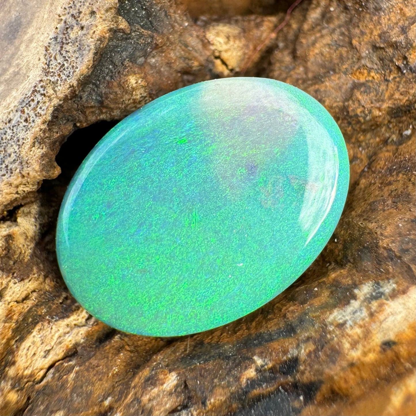 Hand-Cut Solid Lightning Ridge Semi Black Opal 2.3carat - Iona Opal Australia