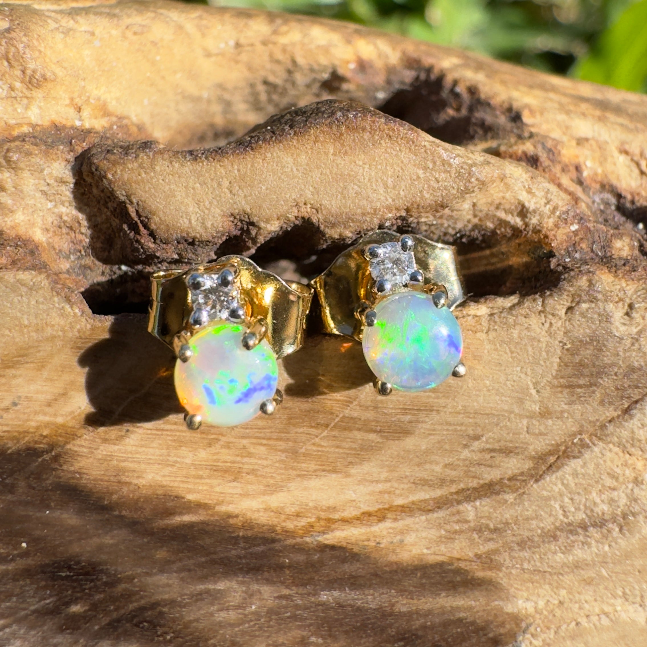 0.8ct Coober Pedy Opal Earrings ~ 'Kuranda Green' | 14ct Yellow Gold | Solid Australian Opal