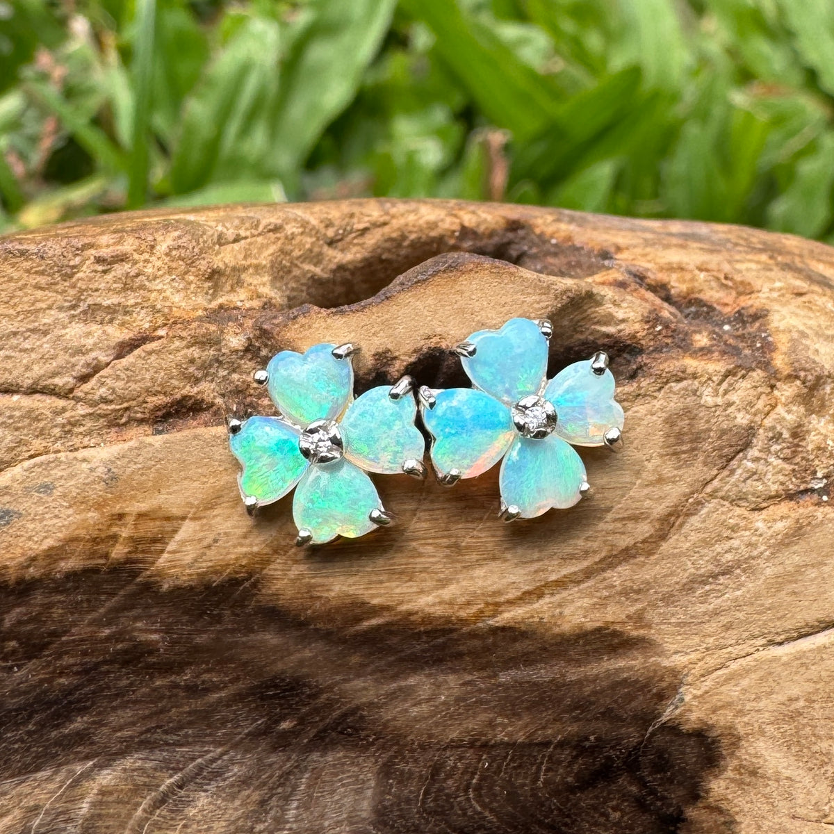 1.6ct Coober Pedy Crystal Opal Stud Earrings ~ 'Wategos Blue' | 925 Sterling Silver | Solid Australian Opal