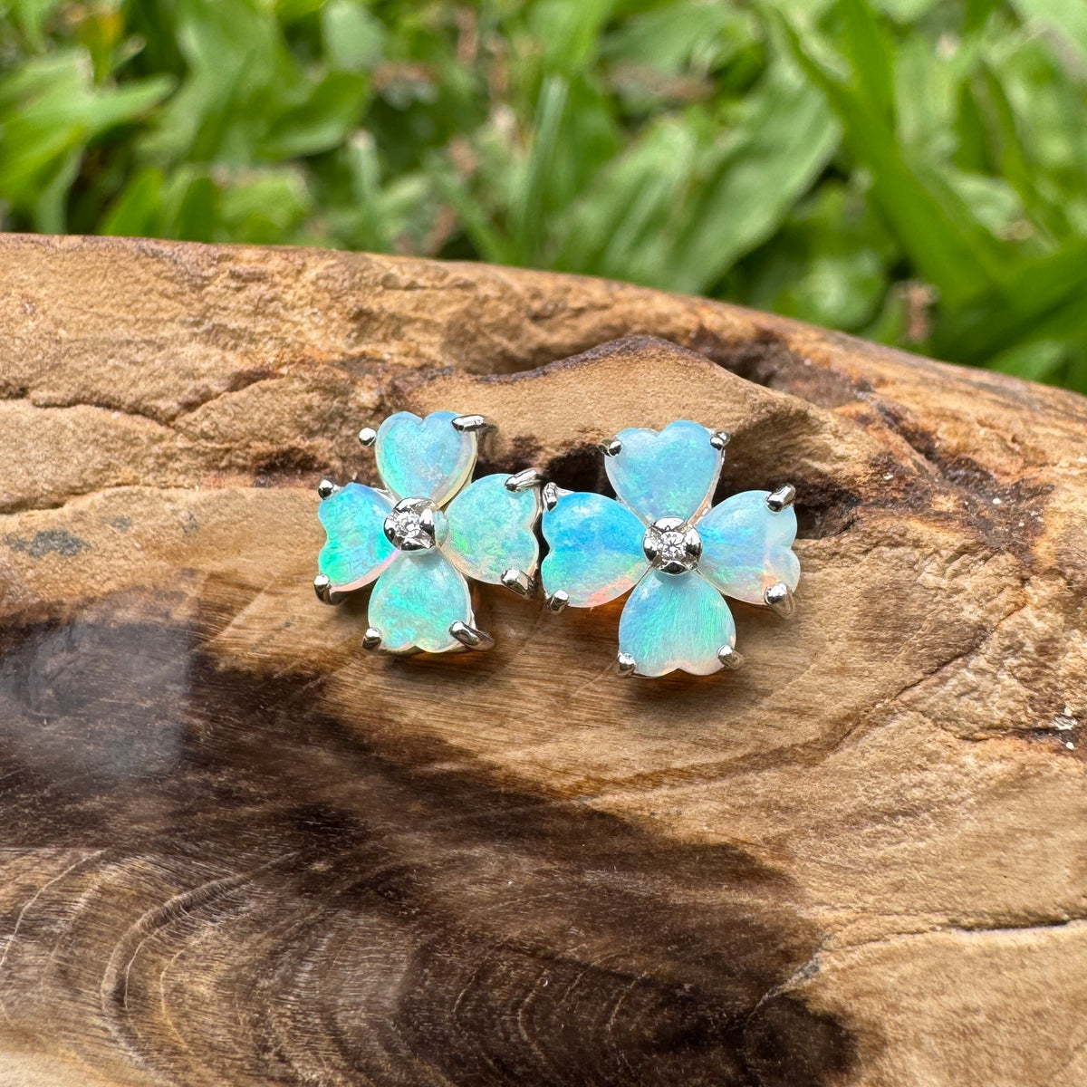 1.6ct Coober Pedy Crystal Opal Stud Earrings ~ 'Wategos Blue' | 925 Sterling Silver | Solid Australian Opal