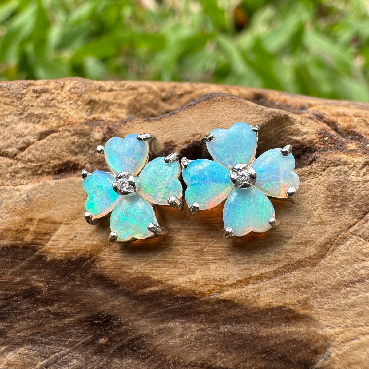 1.6ct Coober Pedy Crystal Opal Stud Earrings ~ 'Wategos Blue' | 925 Sterling Silver | Solid Australian Opal