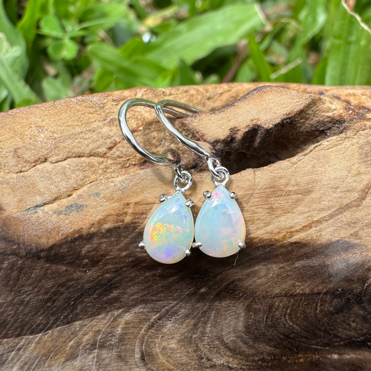 1.2ct Coober Pedy Opal Hook Earrings ~ 'Millaa Millaa Drops' | 925 Sterling Silver | Solid Australian Opal