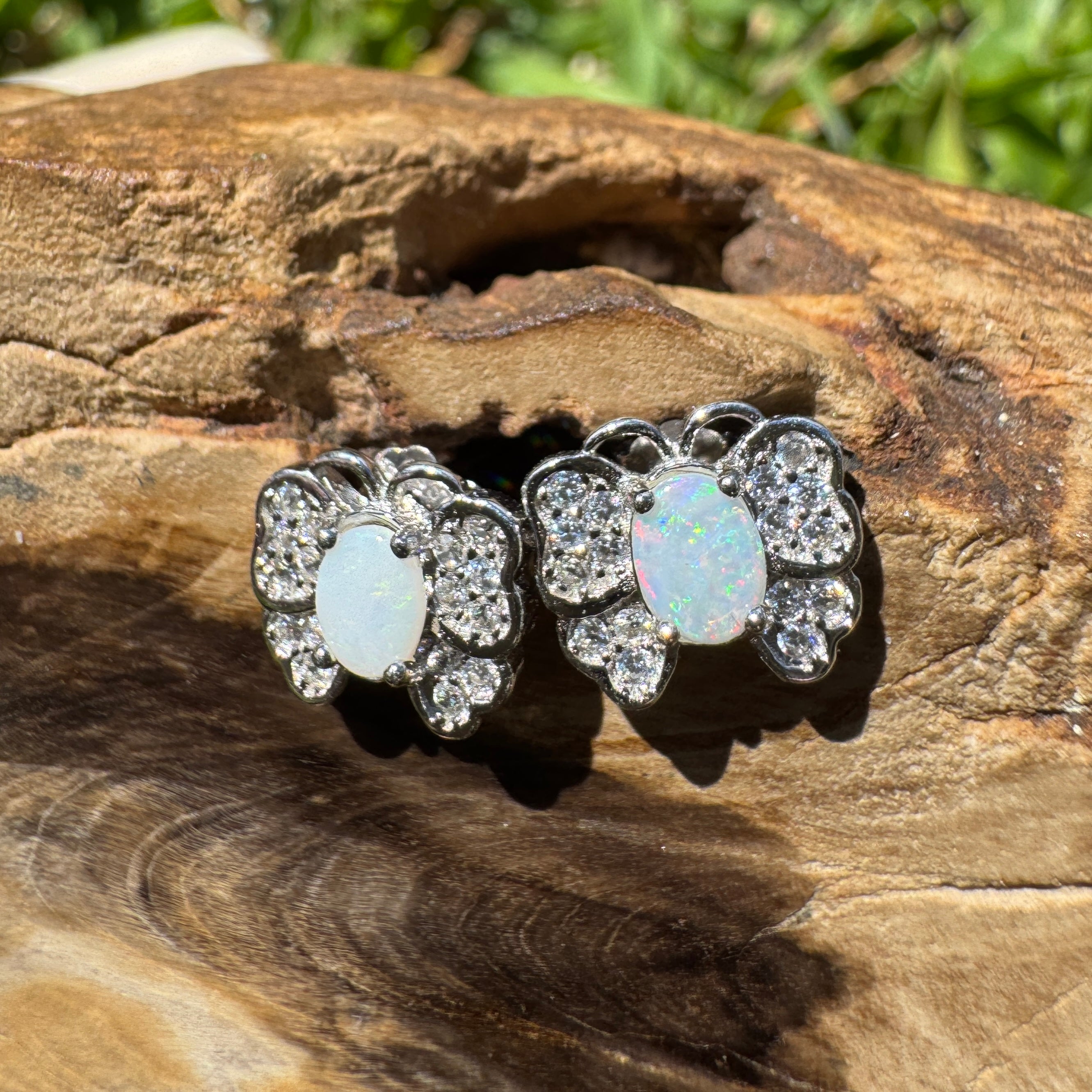 1.3ct Lightning Ridge Opal Earrings ~ 'Freo Flutter' | 925 Sterling Silver | Solid Australian Opal