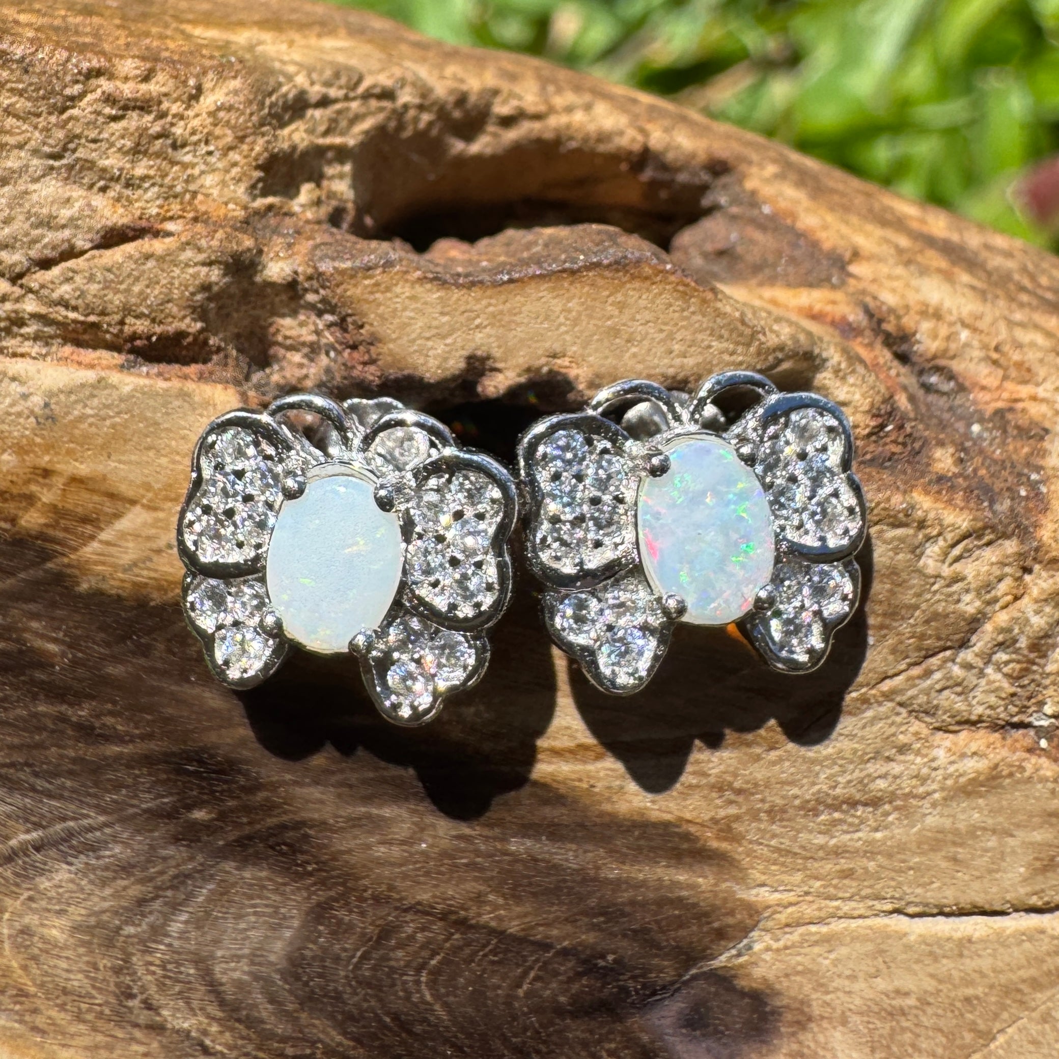 1.3ct Lightning Ridge Opal Earrings ~ 'Freo Flutter' | 925 Sterling Silver | Solid Australian Opal