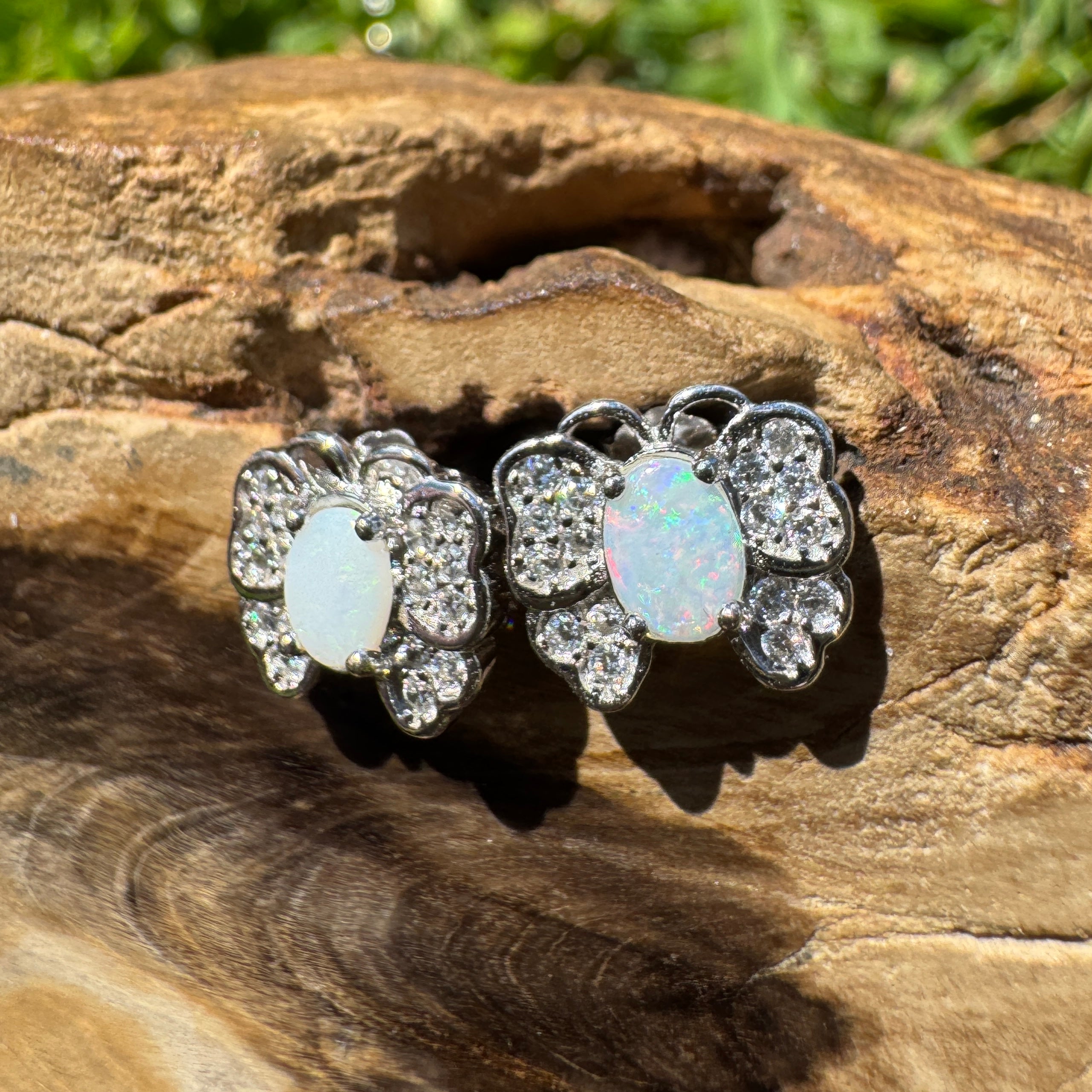 1.3ct Lightning Ridge Opal Earrings ~ 'Freo Flutter' | 925 Sterling Silver | Solid Australian Opal