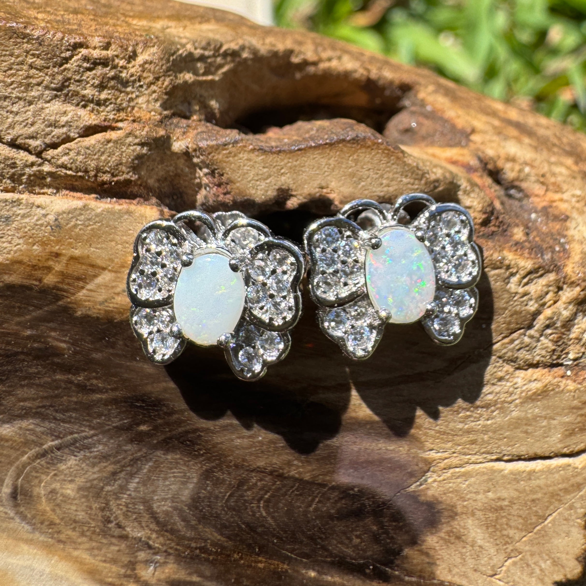 1.3ct Lightning Ridge Opal Earrings ~ 'Freo Flutter' | 925 Sterling Silver | Solid Australian Opal