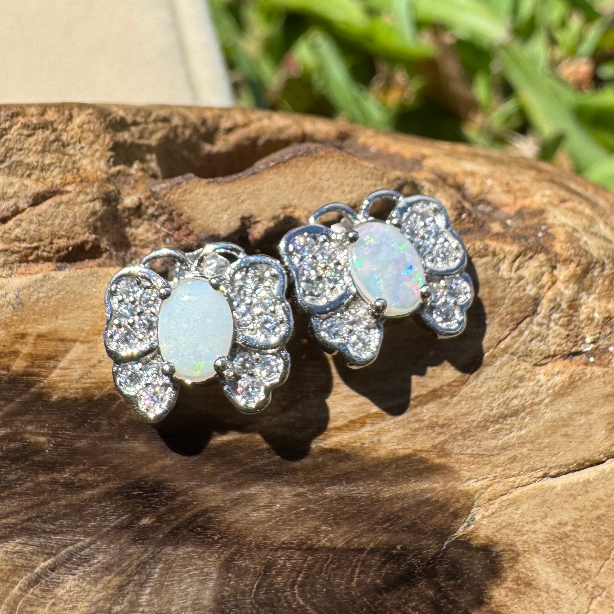 1.3ct Lightning Ridge Opal Earrings ~ 'Freo Flutter' | 925 Sterling Silver | Solid Australian Opal
