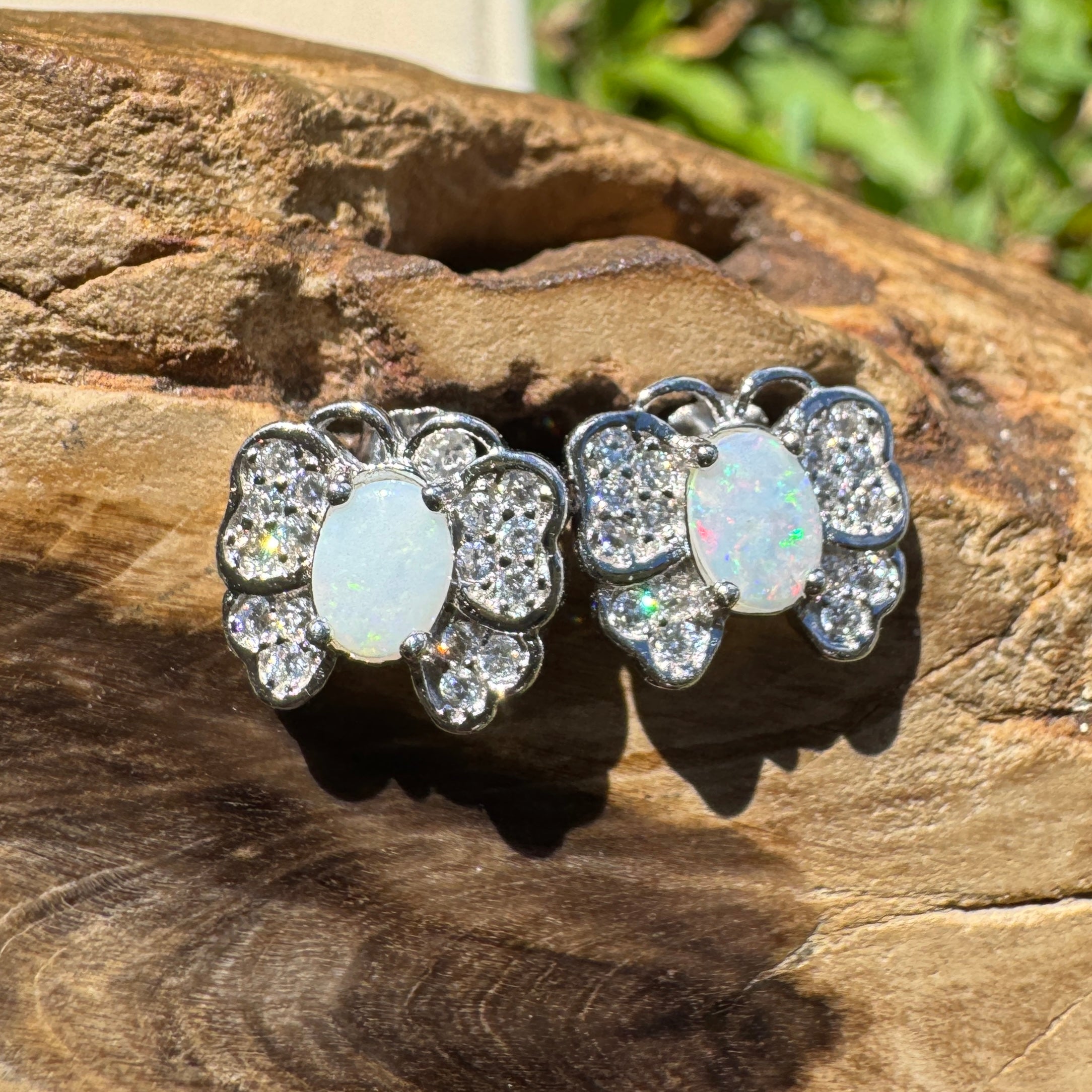 1.3ct Lightning Ridge Opal Earrings ~ 'Freo Flutter' | 925 Sterling Silver | Solid Australian Opal