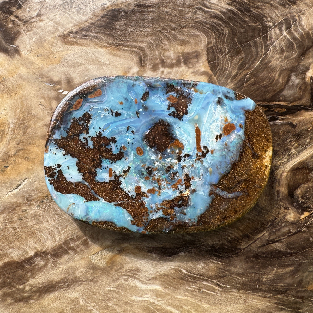 113ct Queensland Boulder Opal | Solid Australian Opal | Hand-Cut