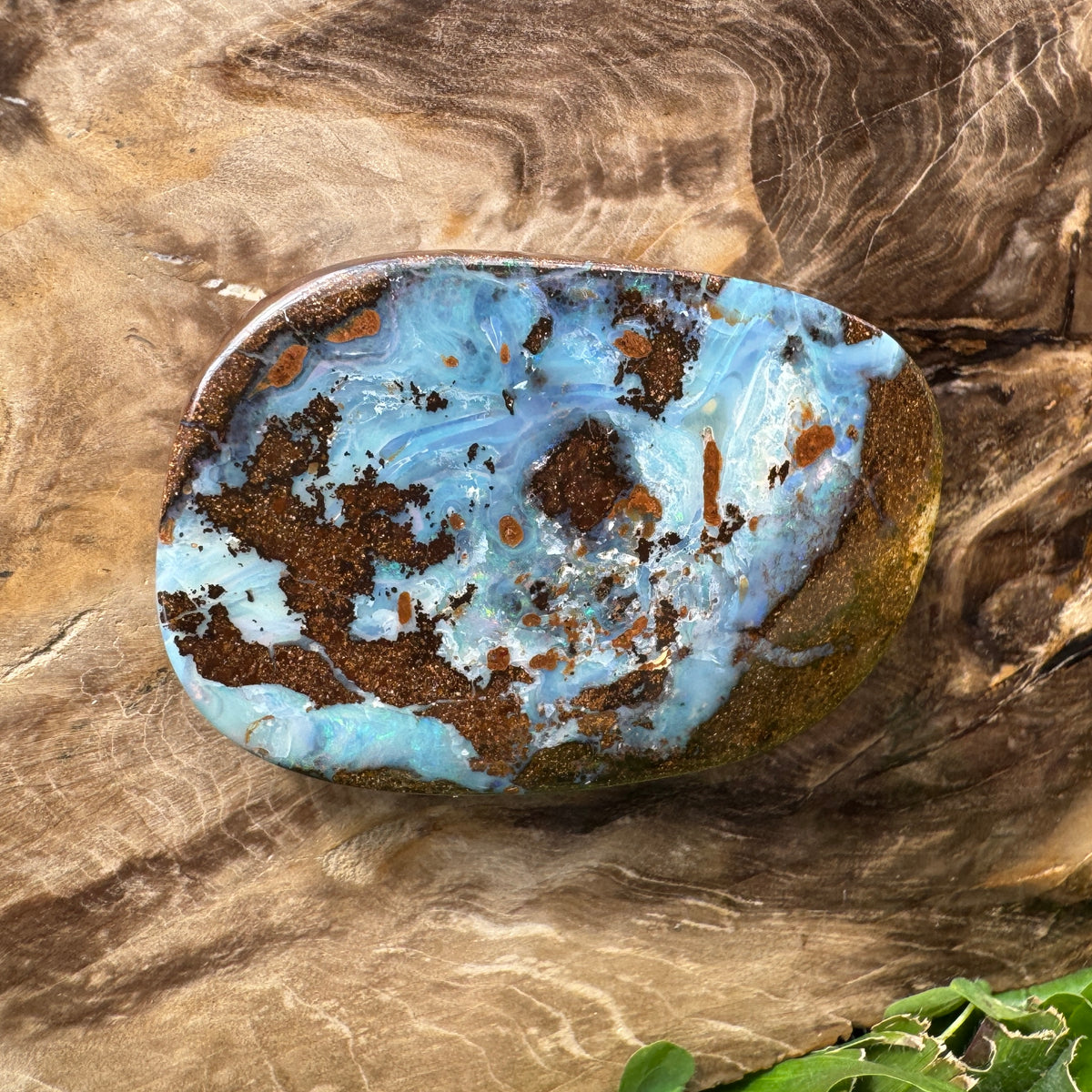 113ct Queensland Boulder Opal | Solid Australian Opal | Hand-Cut