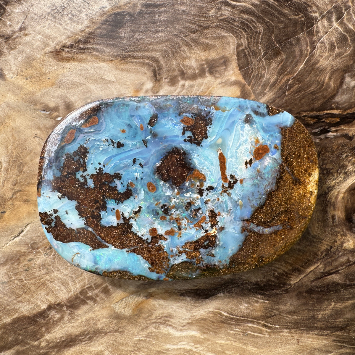 113ct Queensland Boulder Opal | Solid Australian Opal | Hand-Cut