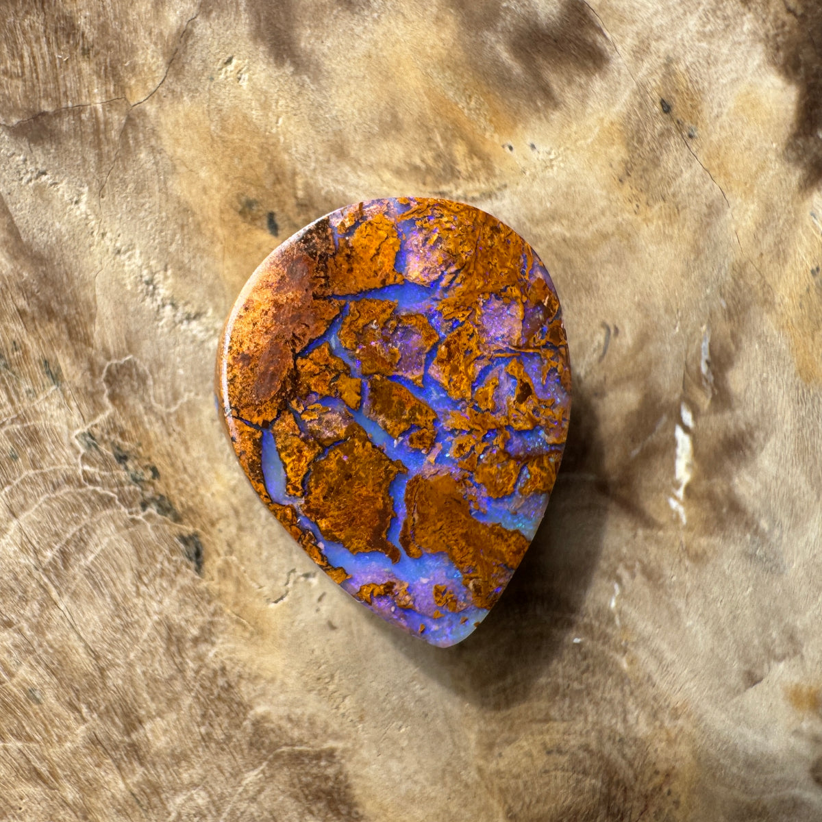 5.9ct Queensland Boulder Opal | Solid Australian Opal | Hand-Cut