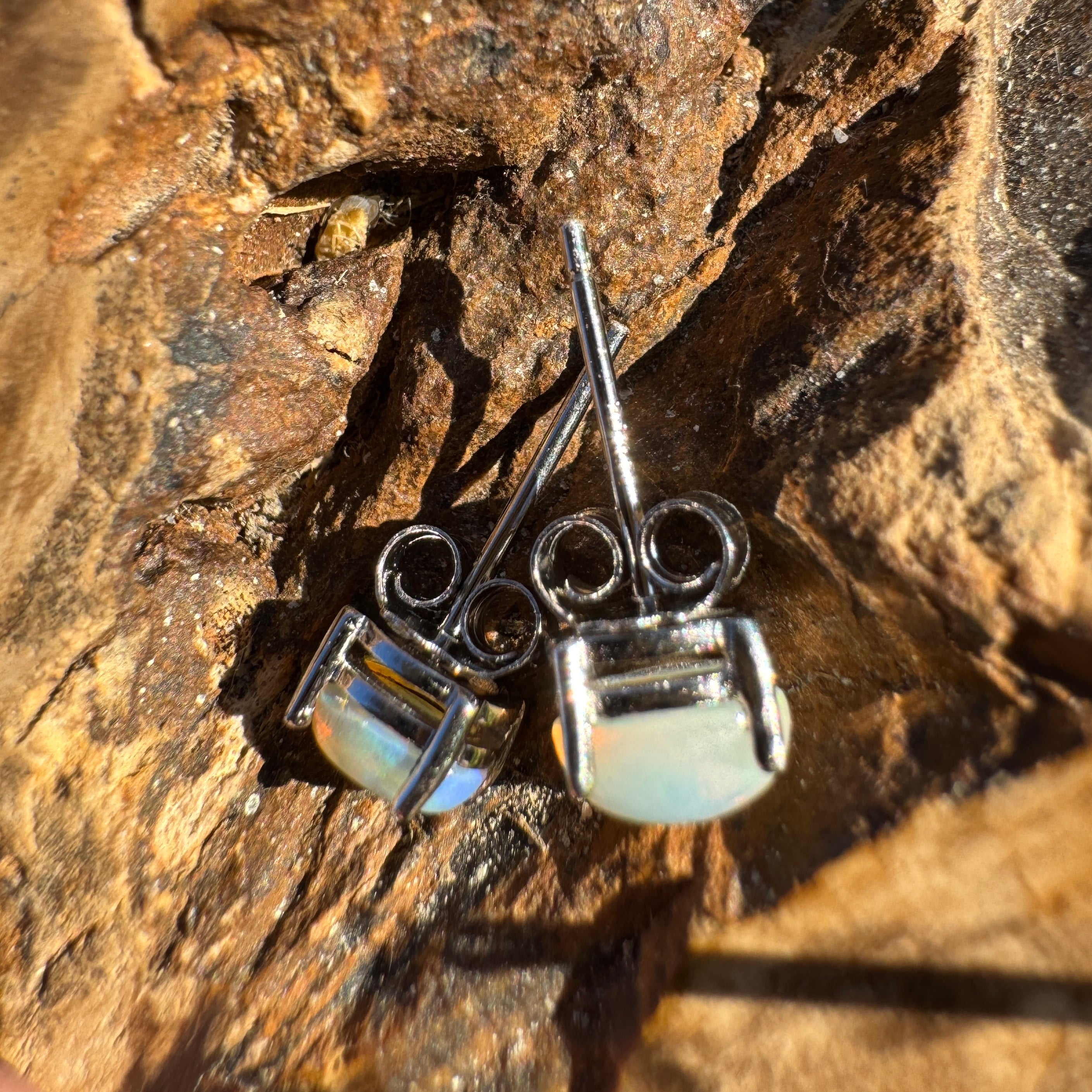 0.8ct Coober Pedy Opal Earrings ~ 'Cardwell Shelf' | 925 Sterling Silver | Solid Australian Opal