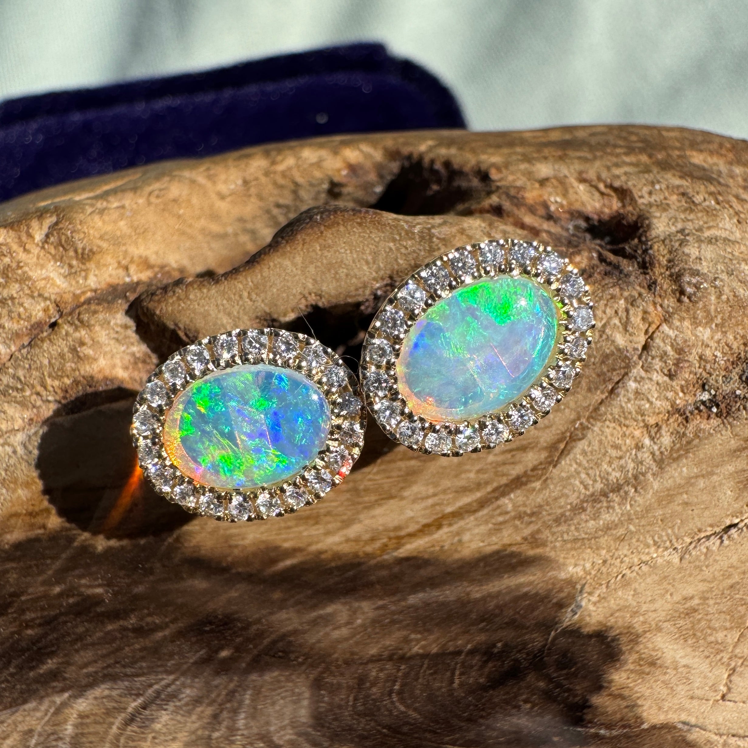 1ct Lightning Ridge Opal Stud Earrings ~ 'Jervis Bay Gleam' | 14ct Yellow Gold | Solid Australian Opal