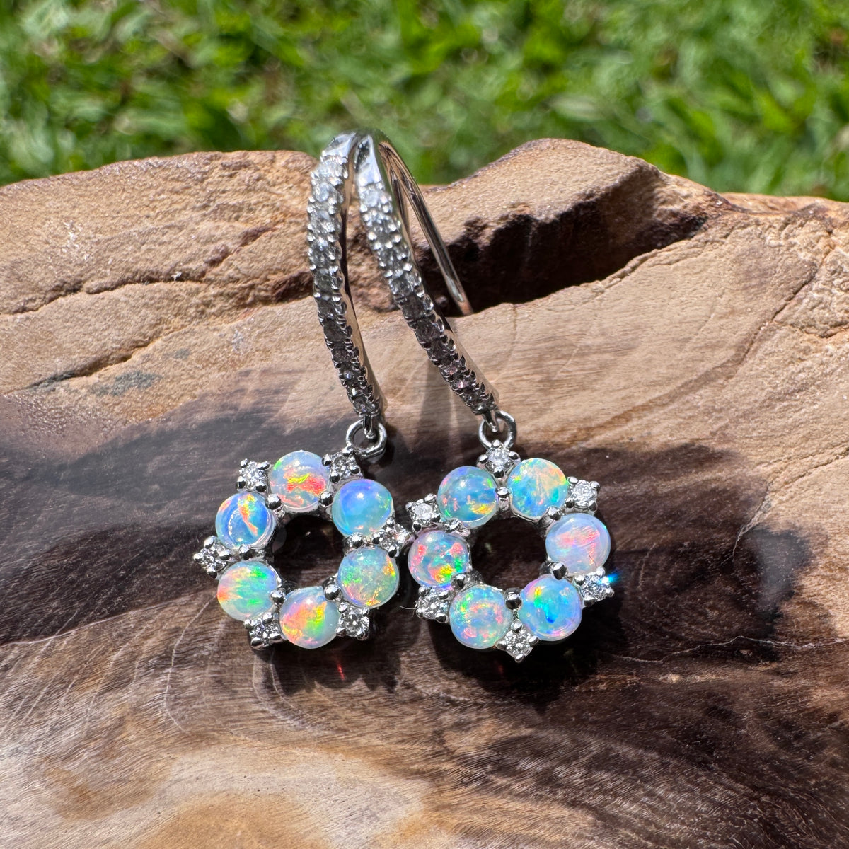 1.2ct Lightning Ridge Opal & 0.23ct Diamond Flower Hook Earrings ~ 'Kings Park Blossom' | 14ct White Gold | Solid Australian Opal