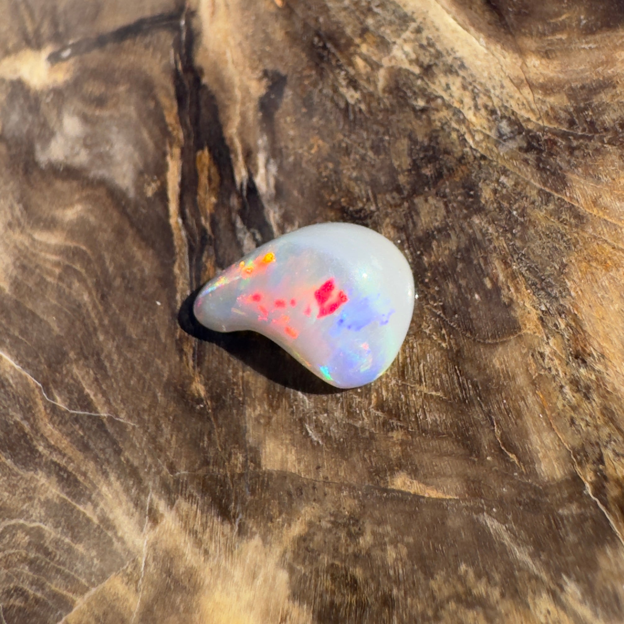 0.7ct Lightning Ridge Semi Black Opal | Solid Australian Opal