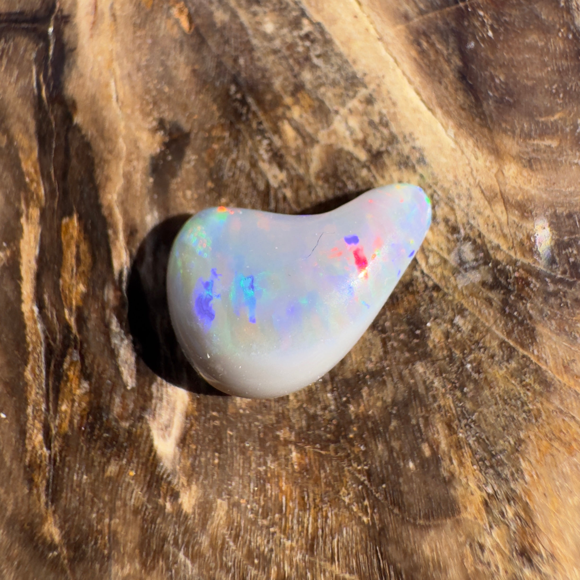 0.7ct Lightning Ridge Semi Black Opal | Solid Australian Opal