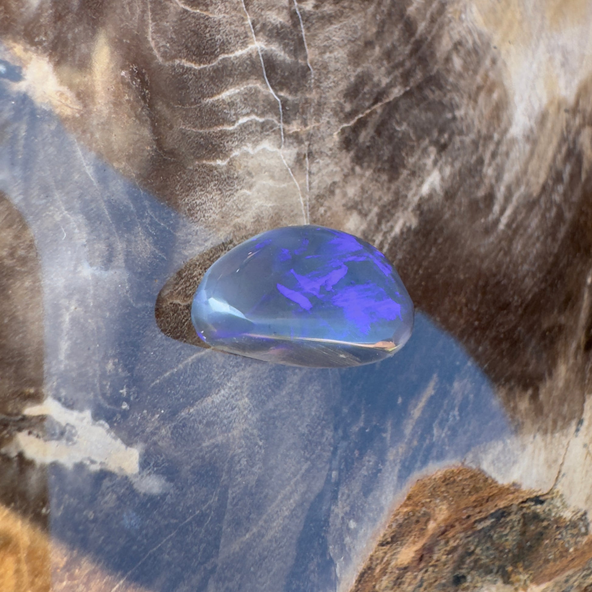 Lightning Ridge Semi-Black Opal 3.3carat Solid Hand-Cut Luxury - Iona Opal Australia