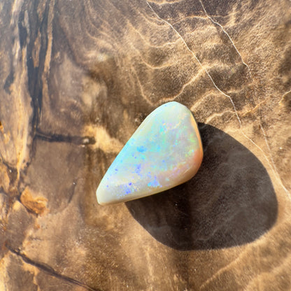 Lightning Ridge Opal 1.6carat Solid Hand-Cut Luxury - Iona Opal Australia