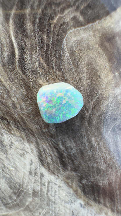 2 x Hand-cut Lightning Ridge Semi-Black Opals 1.0ct total weight - Iona Opal Australia