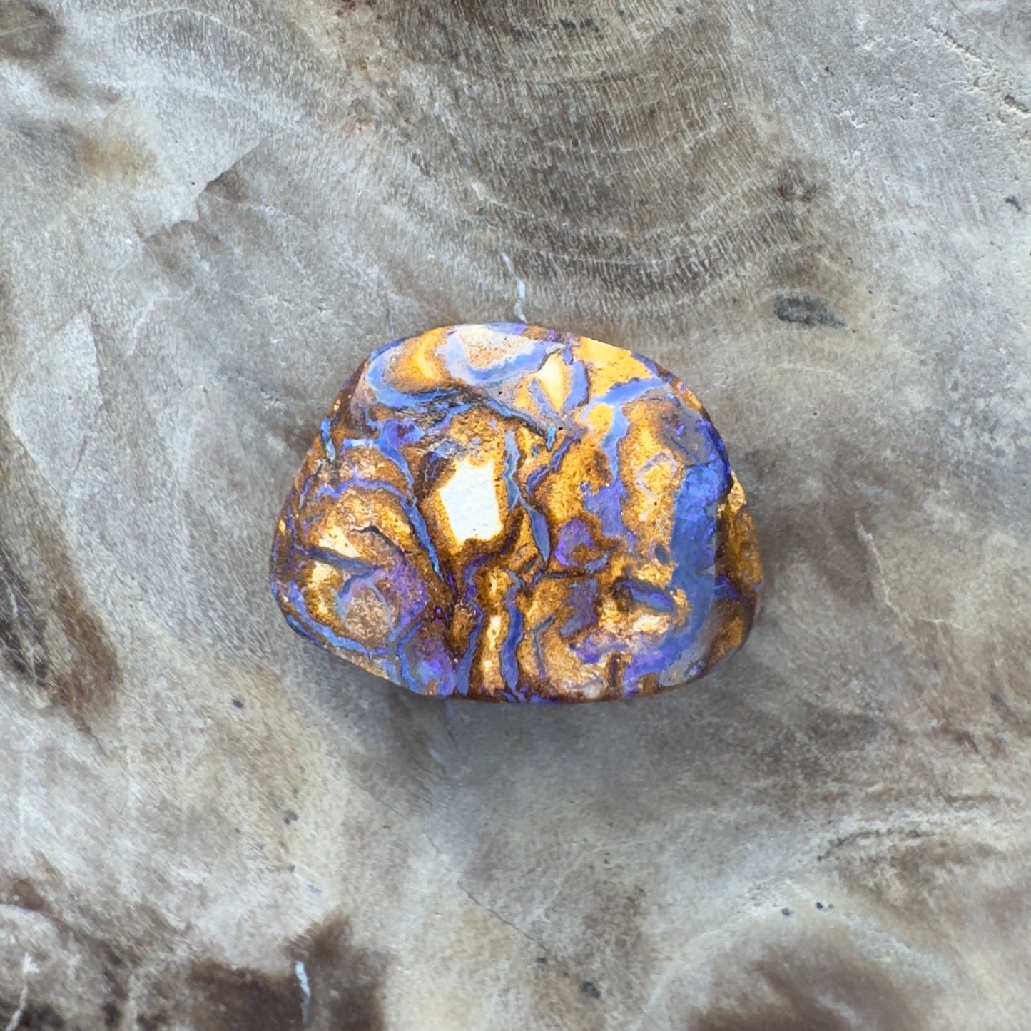 Queensland Boulder Opal 2.6carat Solid Hand-Cut Luxury - Iona Opal Australia