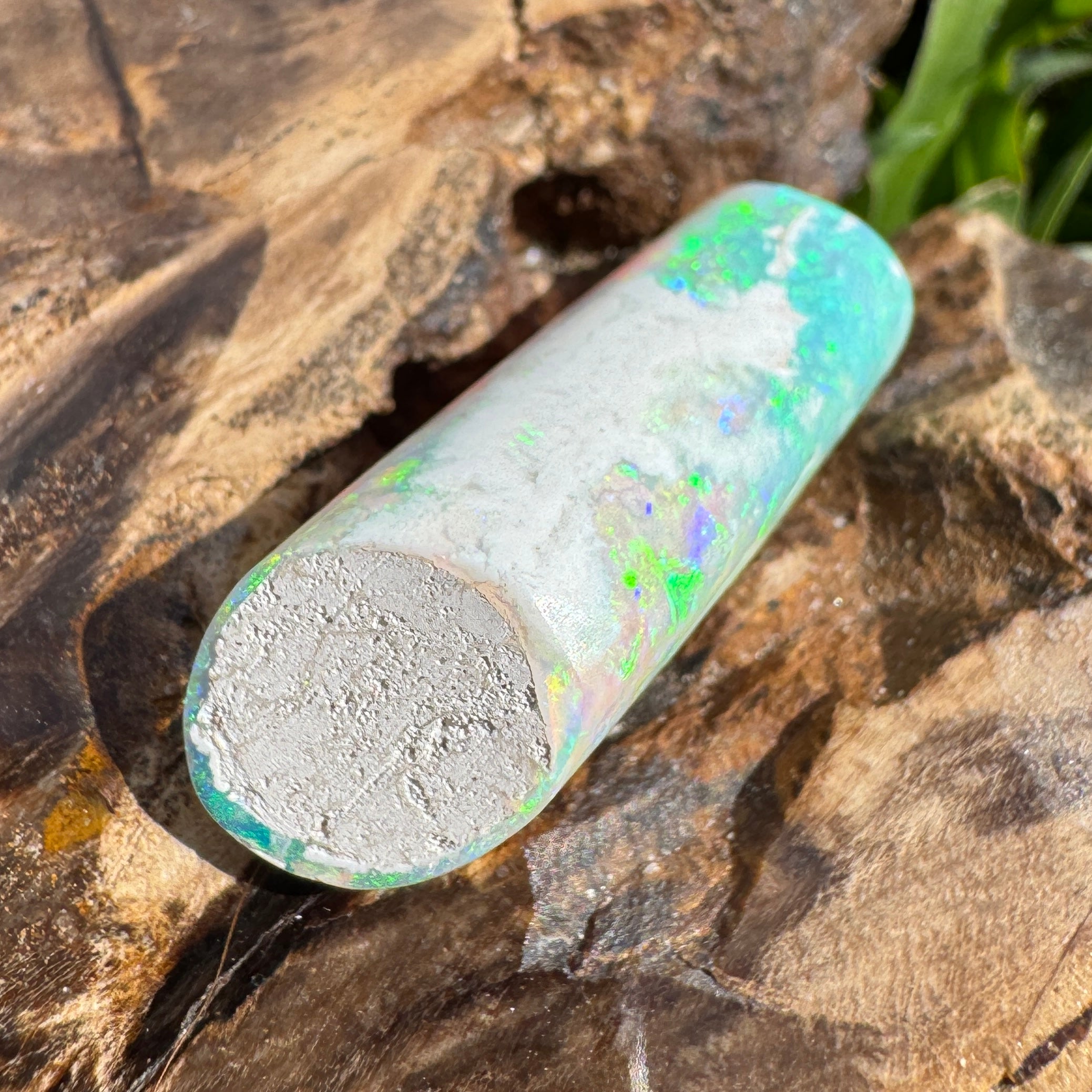 16.6ct Coober Pedy Belemnite Opal | Solid Australian Opal | Hand-Cut