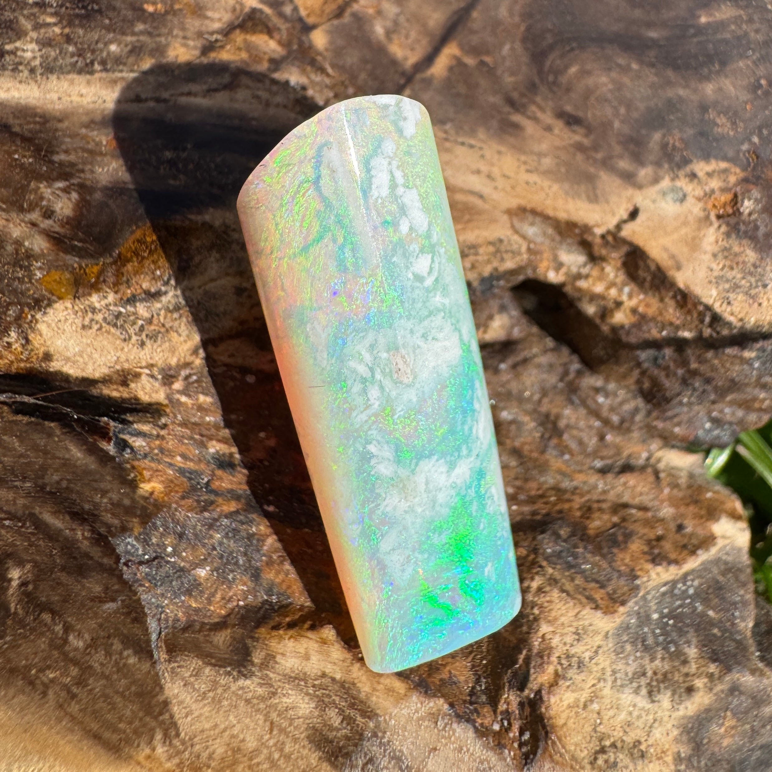 16.6ct Coober Pedy Belemnite Opal | Solid Australian Opal | Hand-Cut