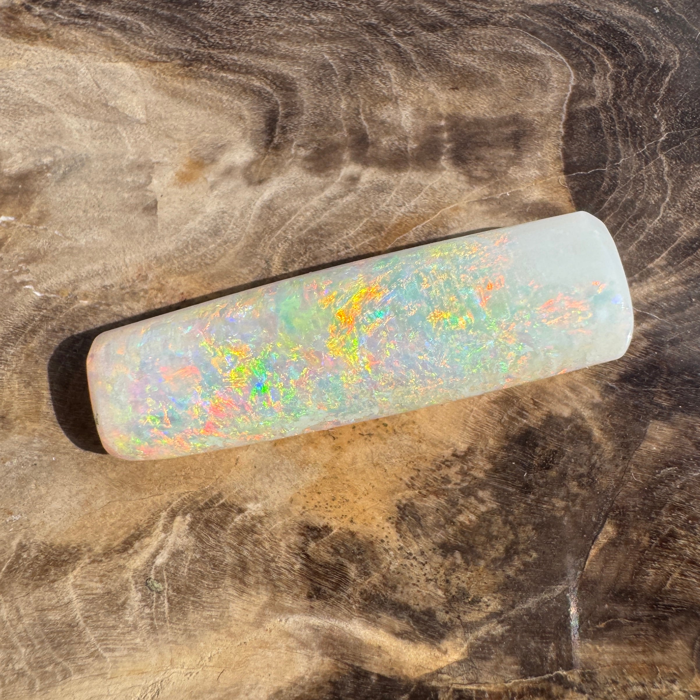10.6ct Coober Pedy Belemnite Opal | Solid Australian Opal | Hand-Cut