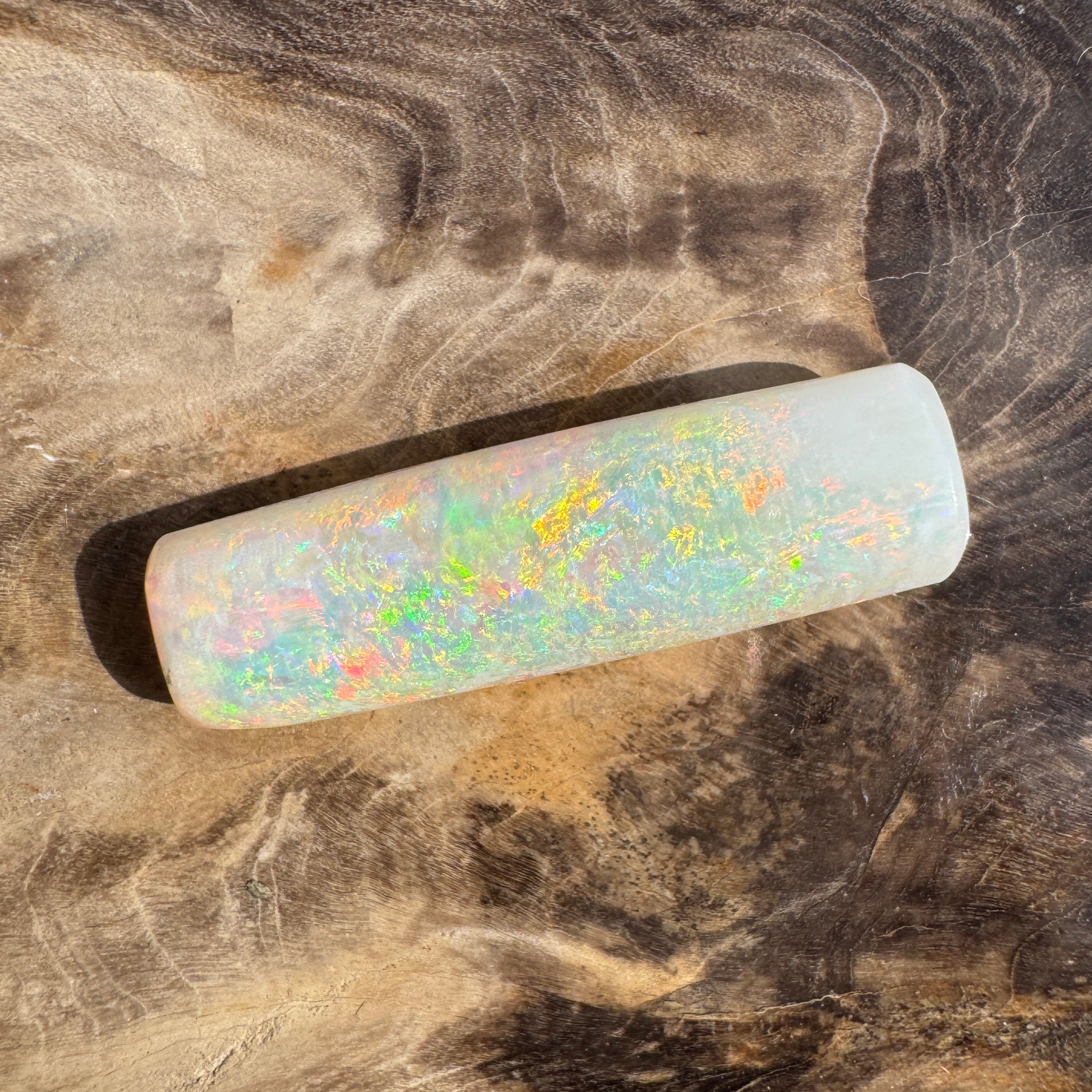 10.6ct Coober Pedy Belemnite Opal | Solid Australian Opal | Hand-Cut