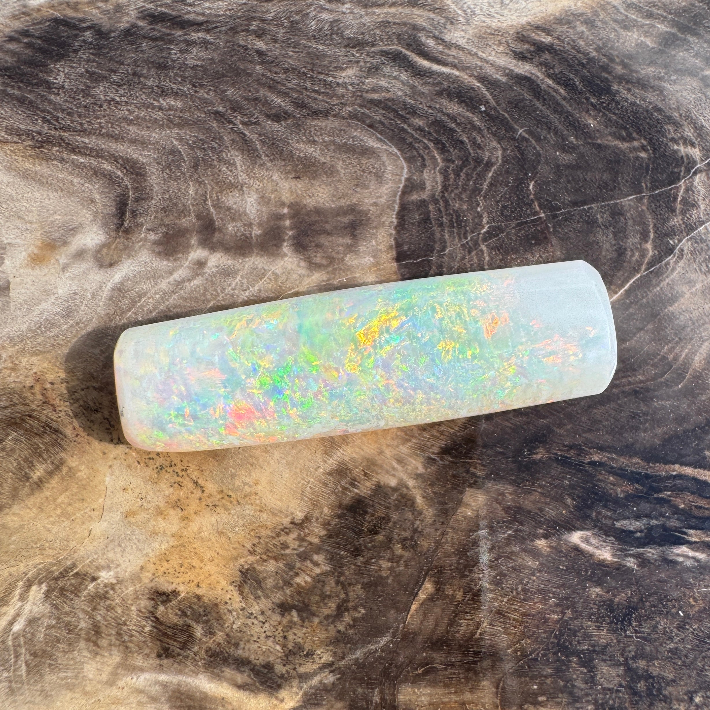 10.6ct Coober Pedy Belemnite Opal | Solid Australian Opal | Hand-Cut