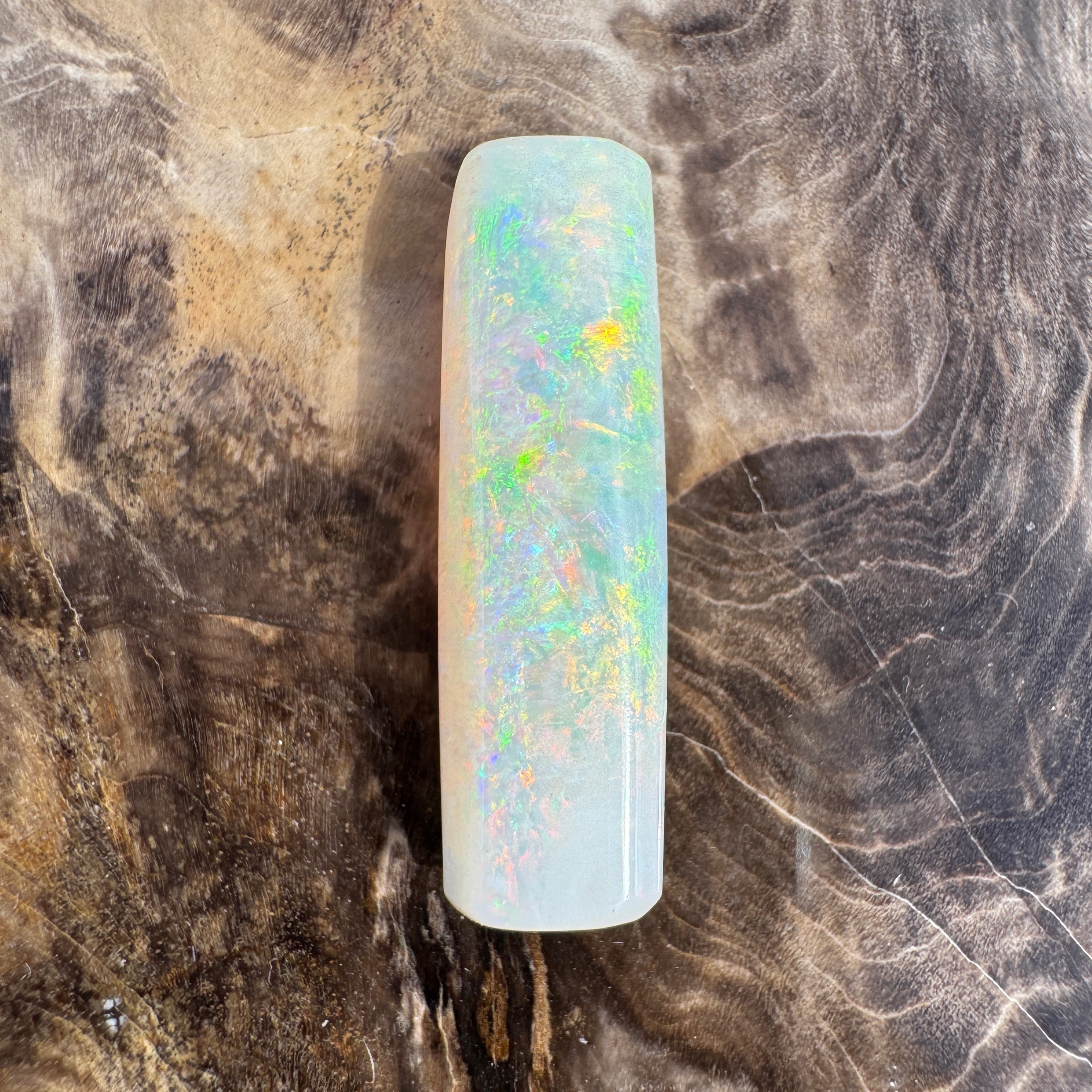 10.6ct Coober Pedy Belemnite Opal | Solid Australian Opal | Hand-Cut