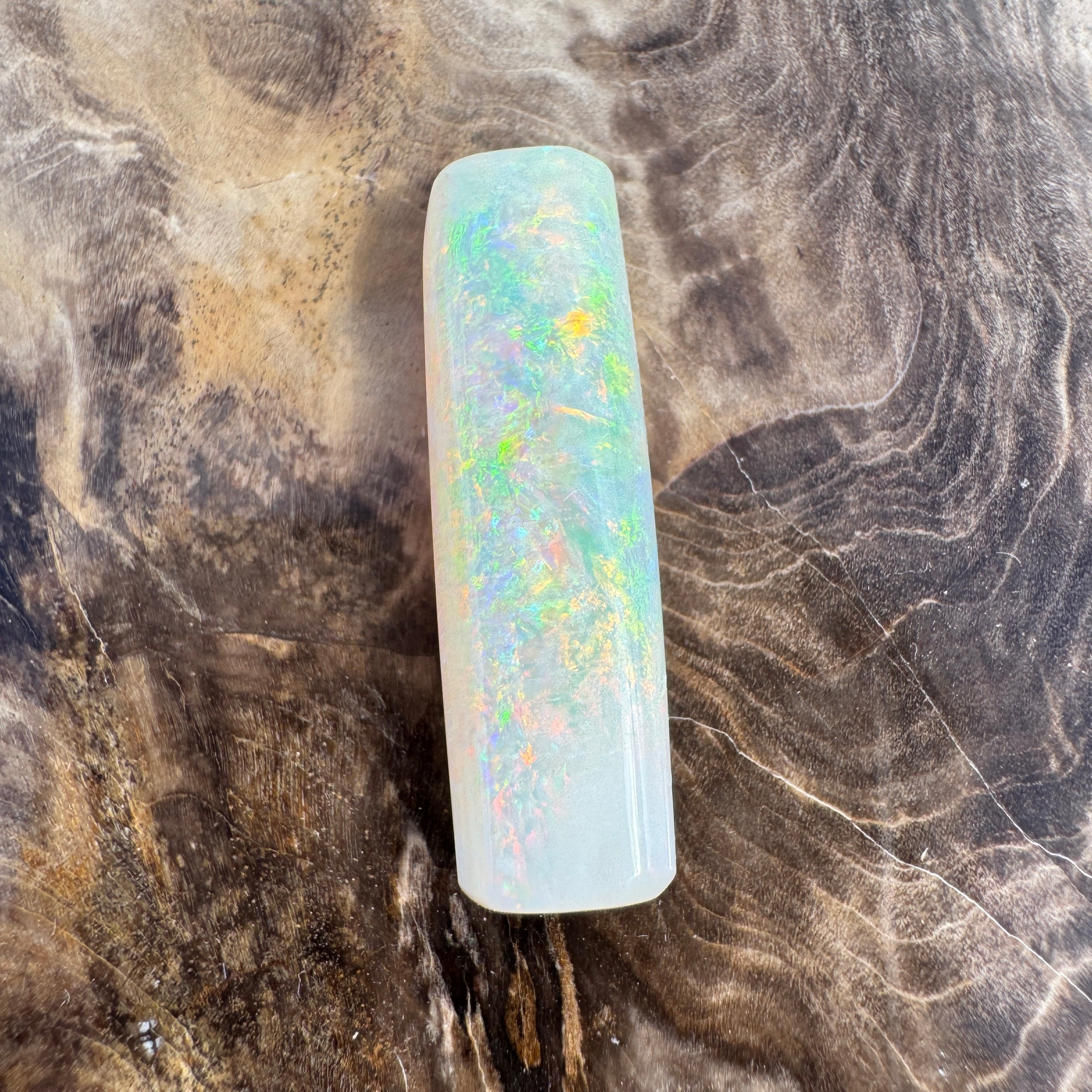 10.6ct Coober Pedy Belemnite Opal | Solid Australian Opal | Hand-Cut