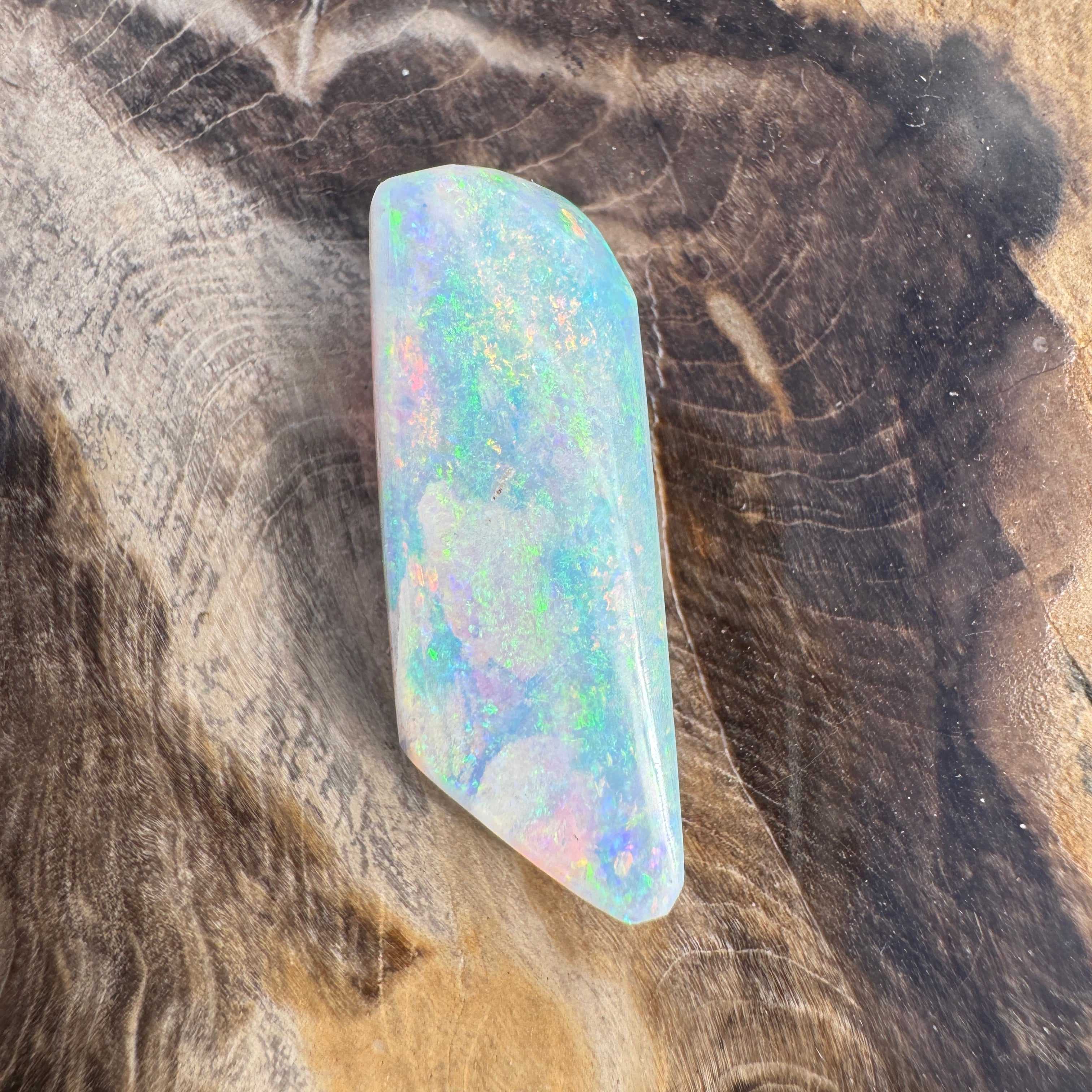 11.6ct Coober Pedy Belemnite Opal | Solid Australian Opal | Hand-Cut