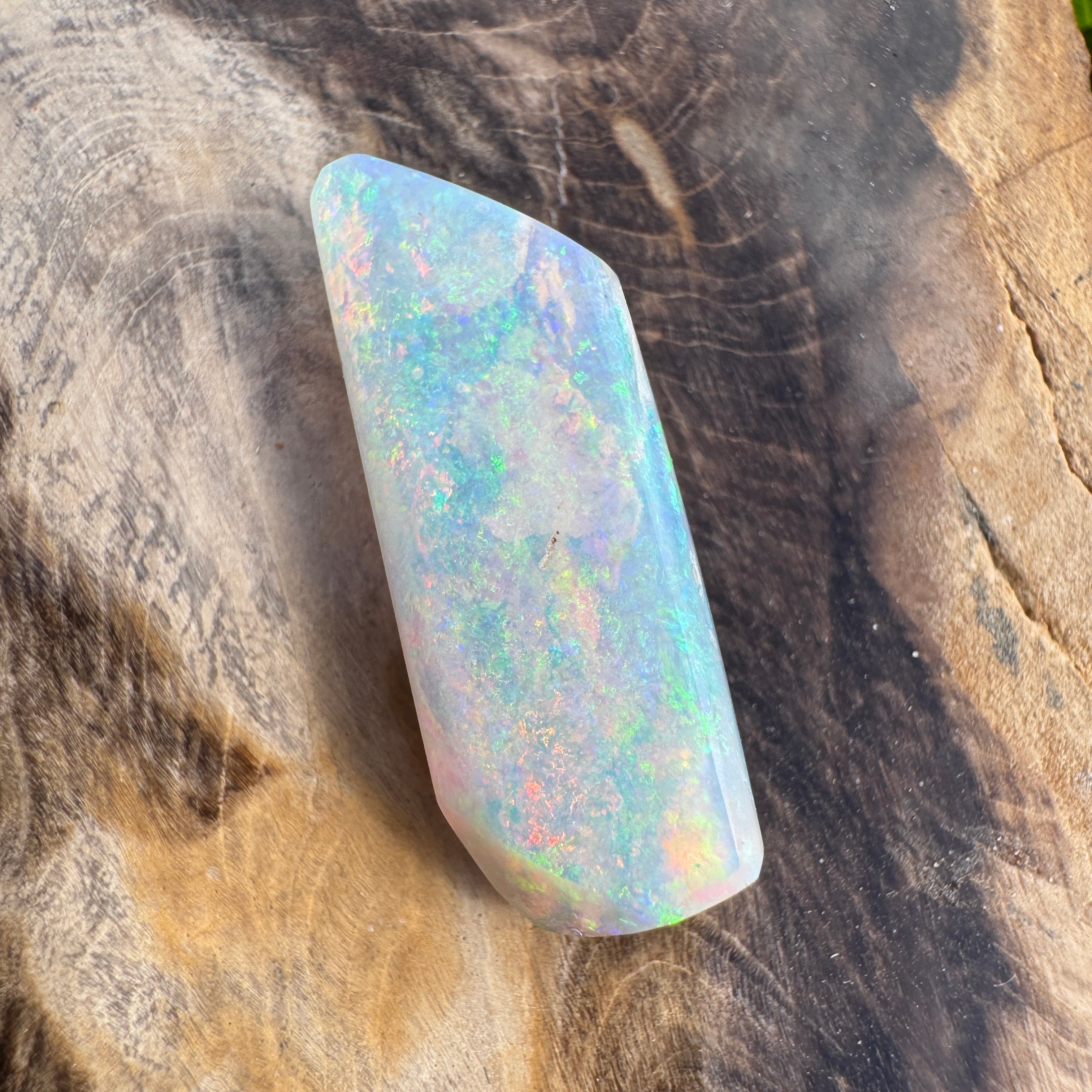 11.6ct Coober Pedy Belemnite Opal | Solid Australian Opal | Hand-Cut